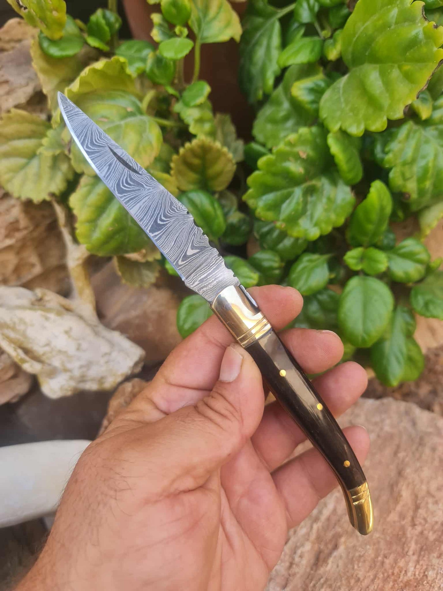 Handmade 22cm Laguiole Classique with Damascus Steel - Buffalo Horn & Brass