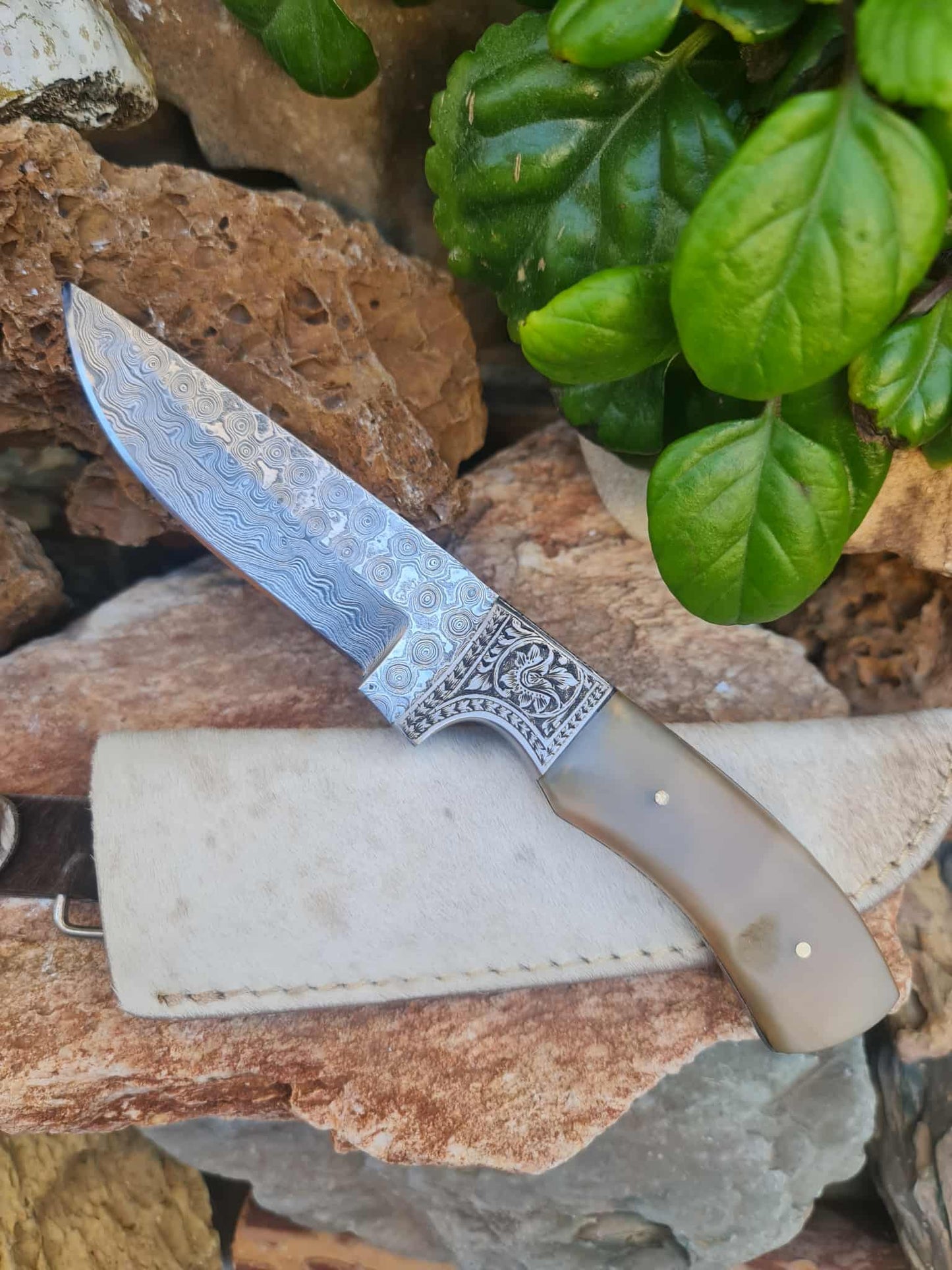 Handmade 22cm Premium Hunting Knife with Raindrop Damascus Steel - Ibex Horn & Stainless Steel with Master Hand-Engraved