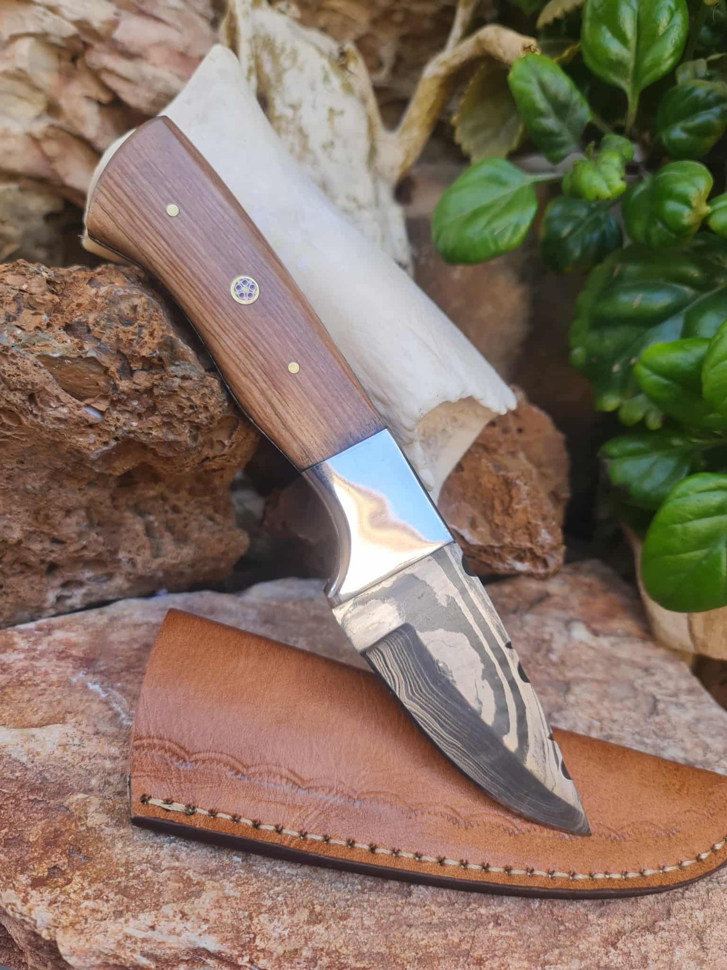 Handmade 20cm Skinner Knife with Damascus Steel - Olive wood & D2 Stainless Steel
