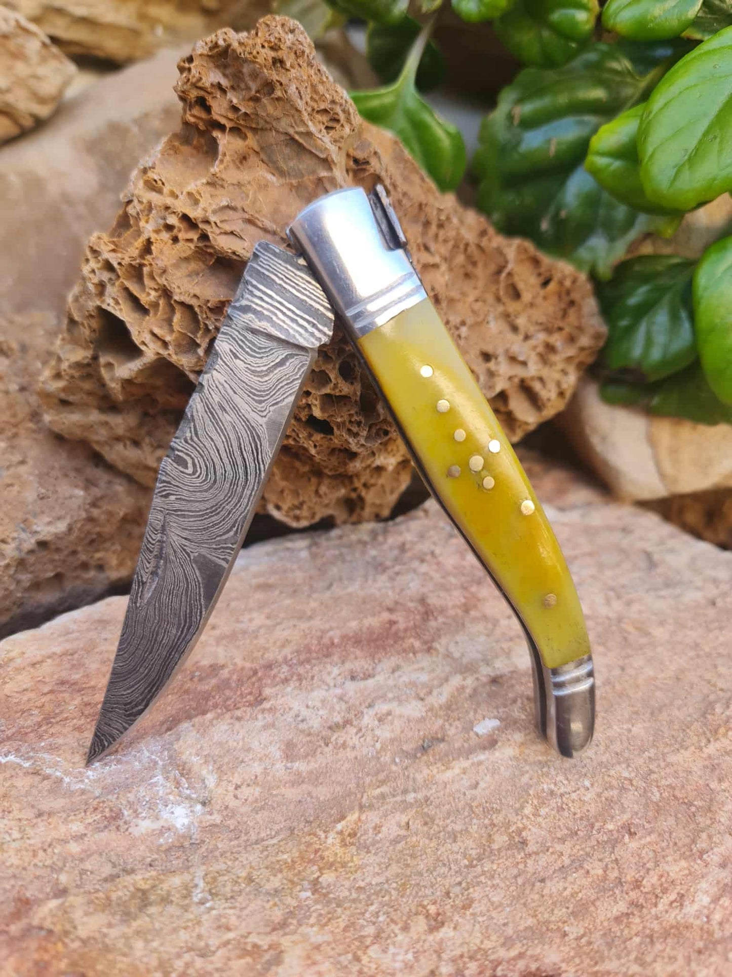 Handmade 22cm Laguiole Rustique with Damascus Steel - Stabilized Camel Bone with D2 Stainless Steel