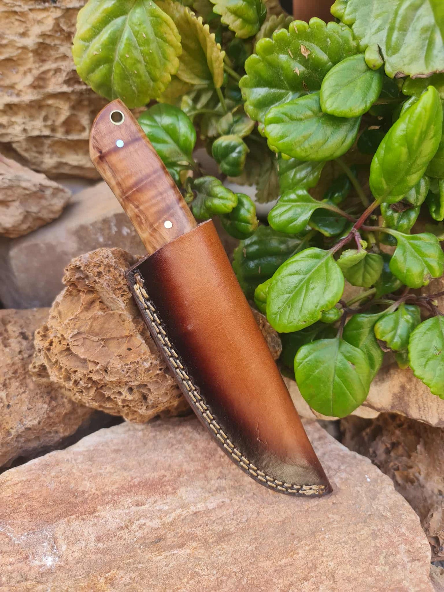 Handmade 22cm Bushcraft Knife with Damascus Steel - Olivewood & Rosewood