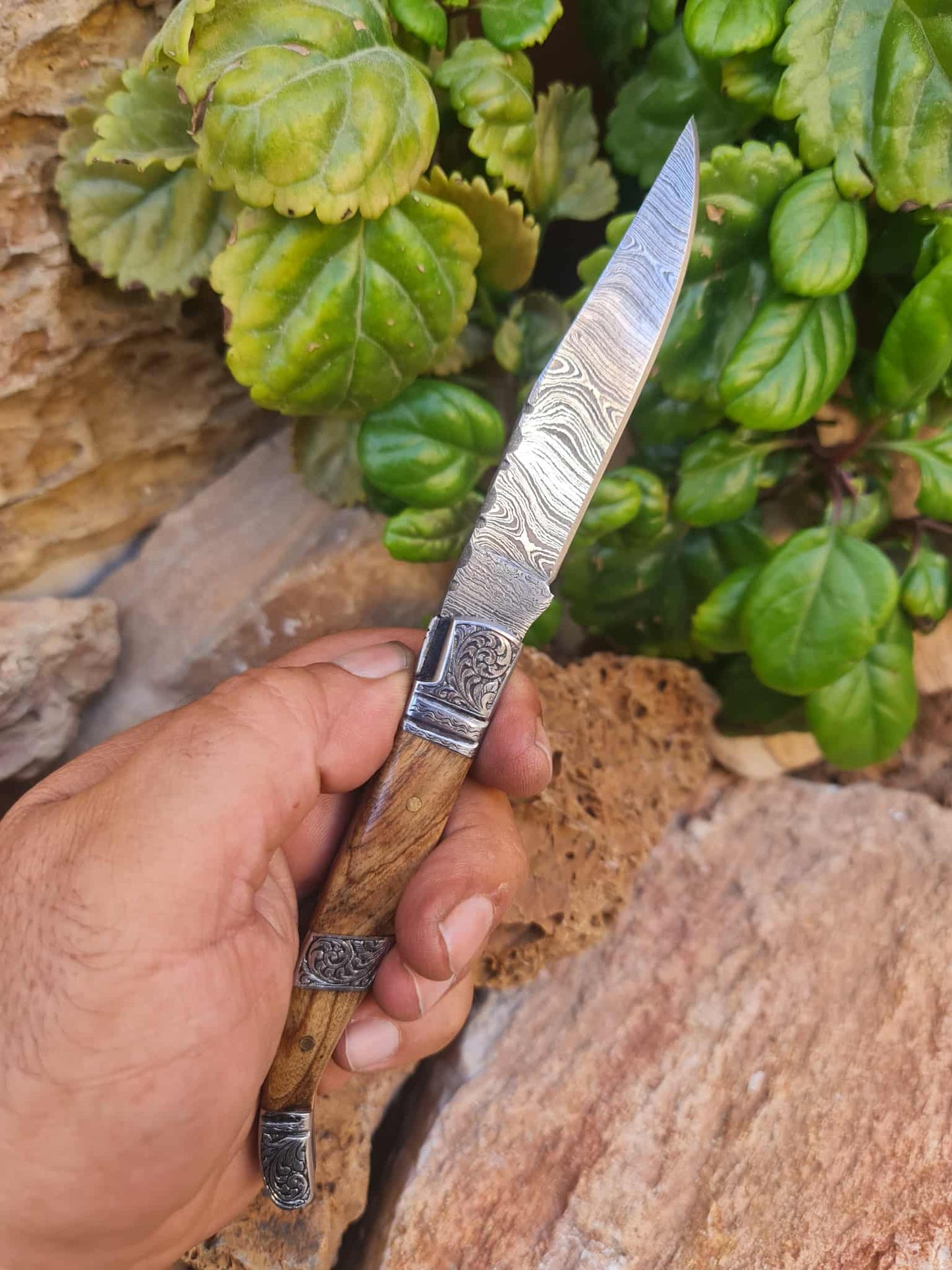 Handmade 22cm Laguiole Rustique with Damascus Steel - Olivewood & 420 Stainless Steel with Master Hand-Engraved