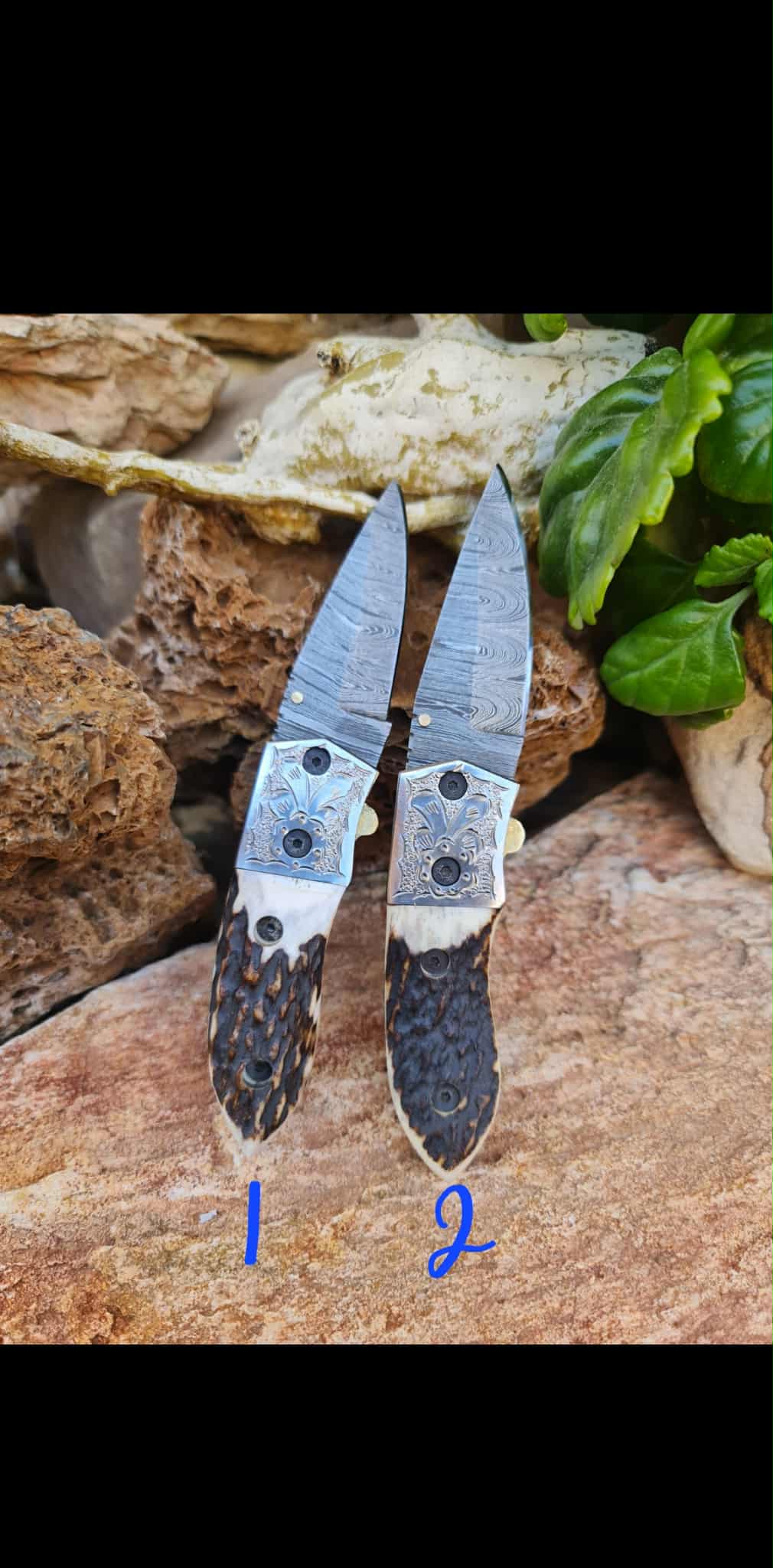 Handmade Limited Edition with Serial Number 16cm Knives with Damascus Steel - Red Deer antler & Hand Engraved Stainless Steel D2 (Exclusive Knife with Serial Number)