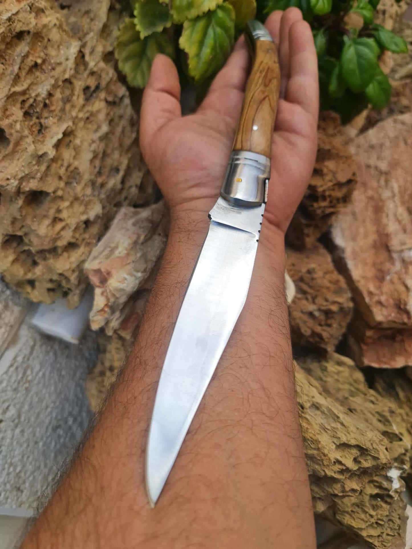 Handmade 32cm Laguiole Bougna with 1421 carbon steel - Olivewood & D2 stainless steel