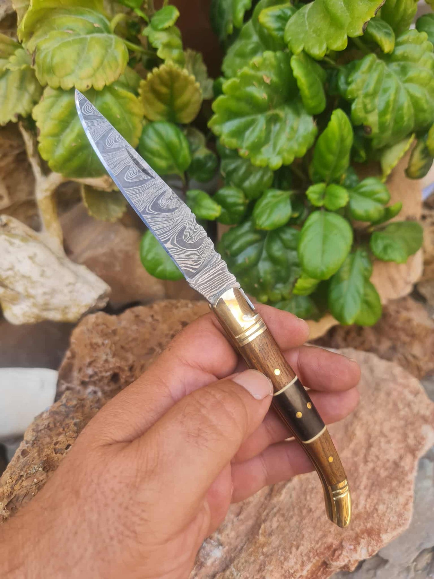 Handmade 22cm Laguiole Classique with Damascus Steel - Walnut wood - Buffalo Horn & Brass