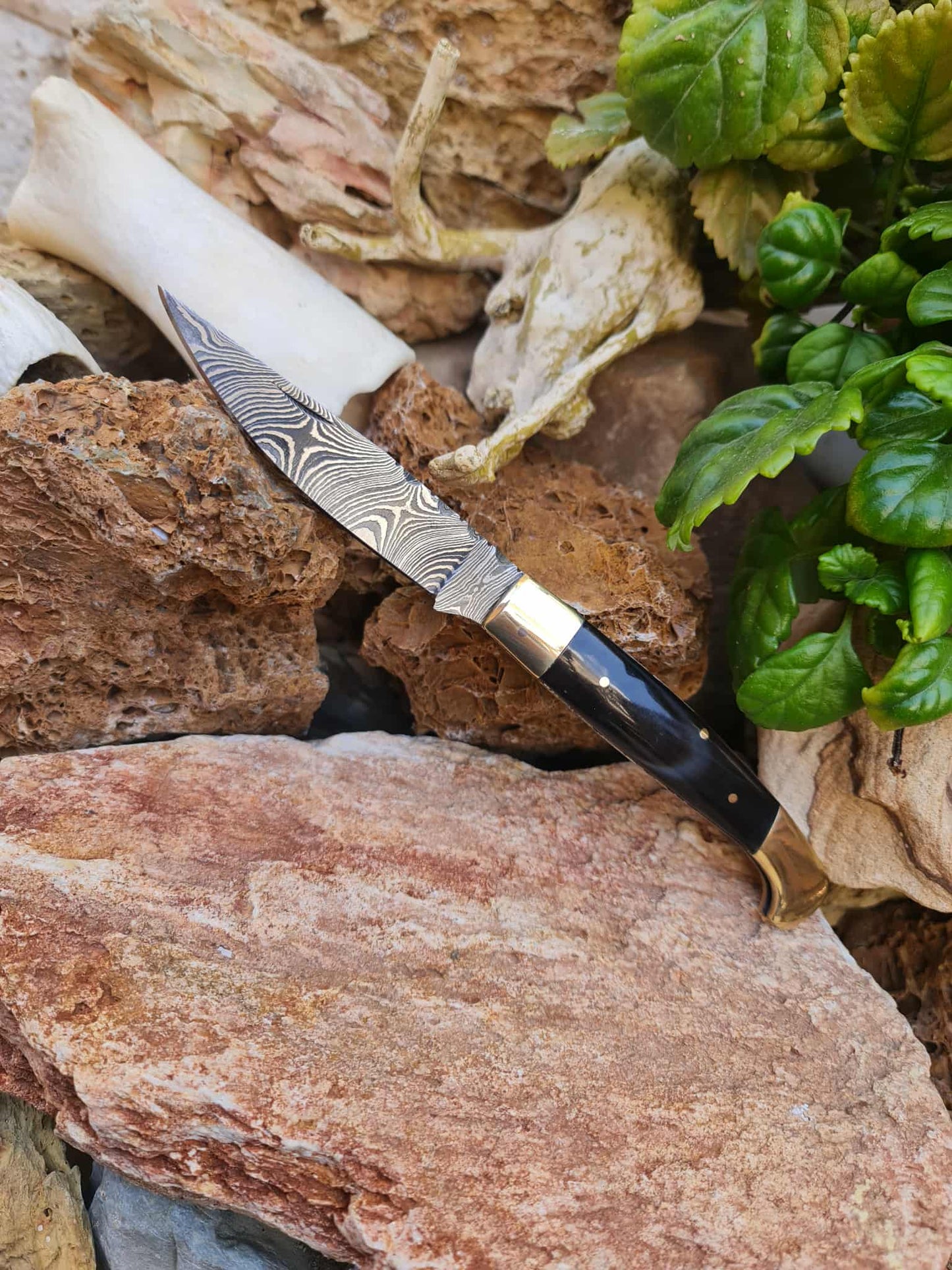 Handmade Resolza Pattadese – 23cm Italian Style Folding Knife with Damascus Steel - Buffalo Horn & Brass