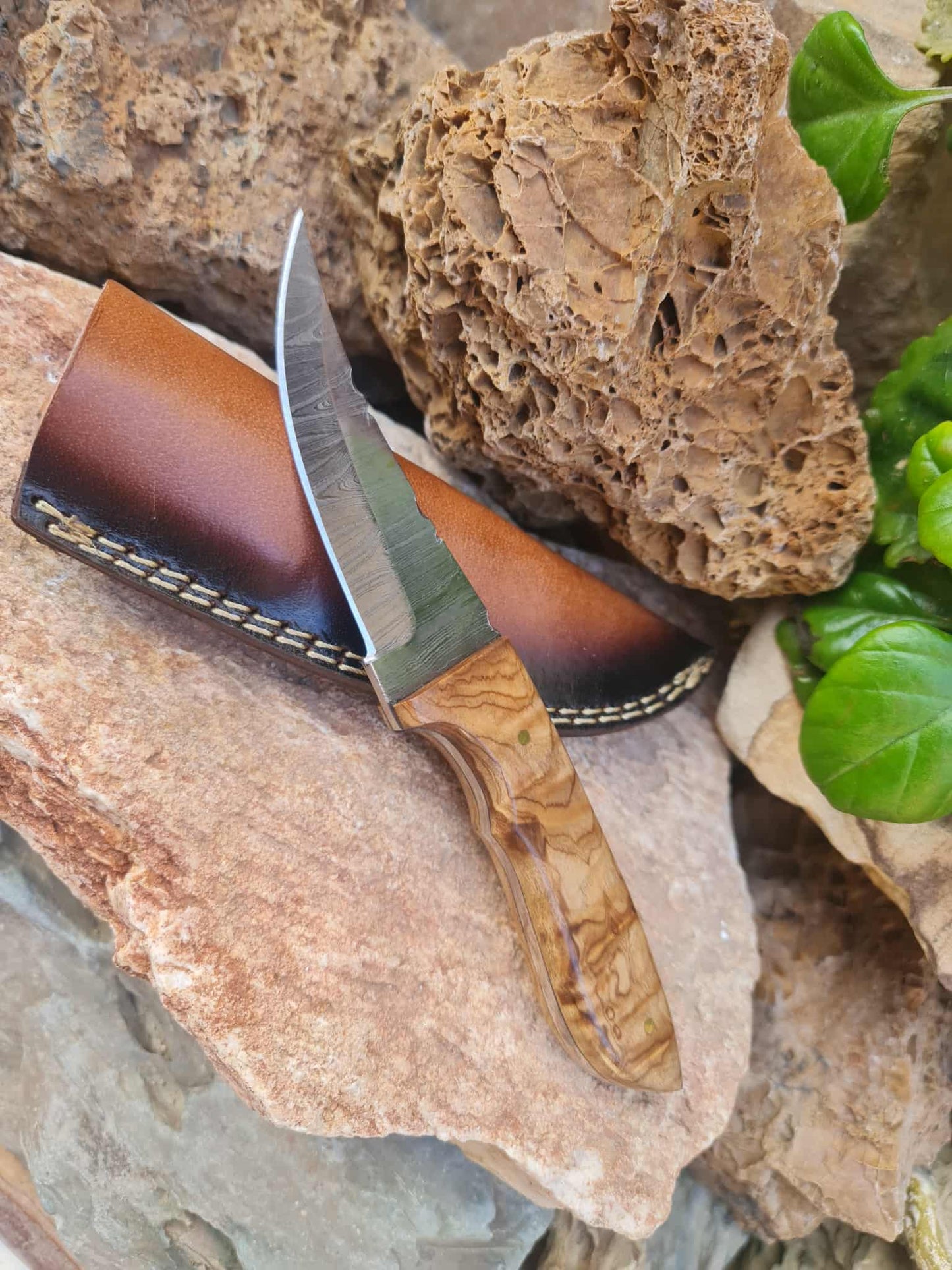 Handmade 21cm Hunting Knife with Damascus Steel & Olive wood
