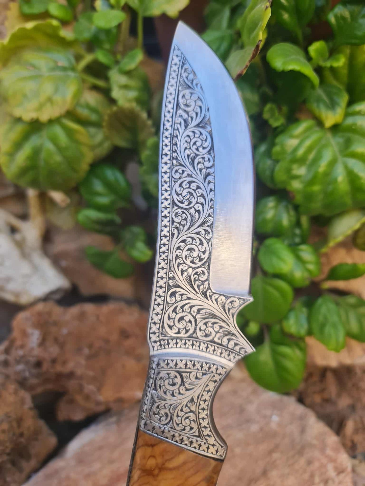 Handmade 25cm Exclusive Hunting Knife with Stainless Steel with Master Hand-Engraved & Olive wood