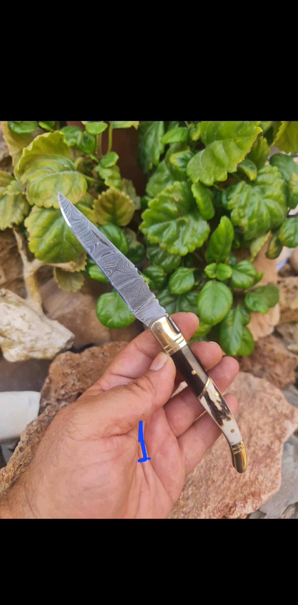 Handmade 22cm Laguiole Classique with Damascus Steel - Red Deer antler - Buffalo Horn & Brass