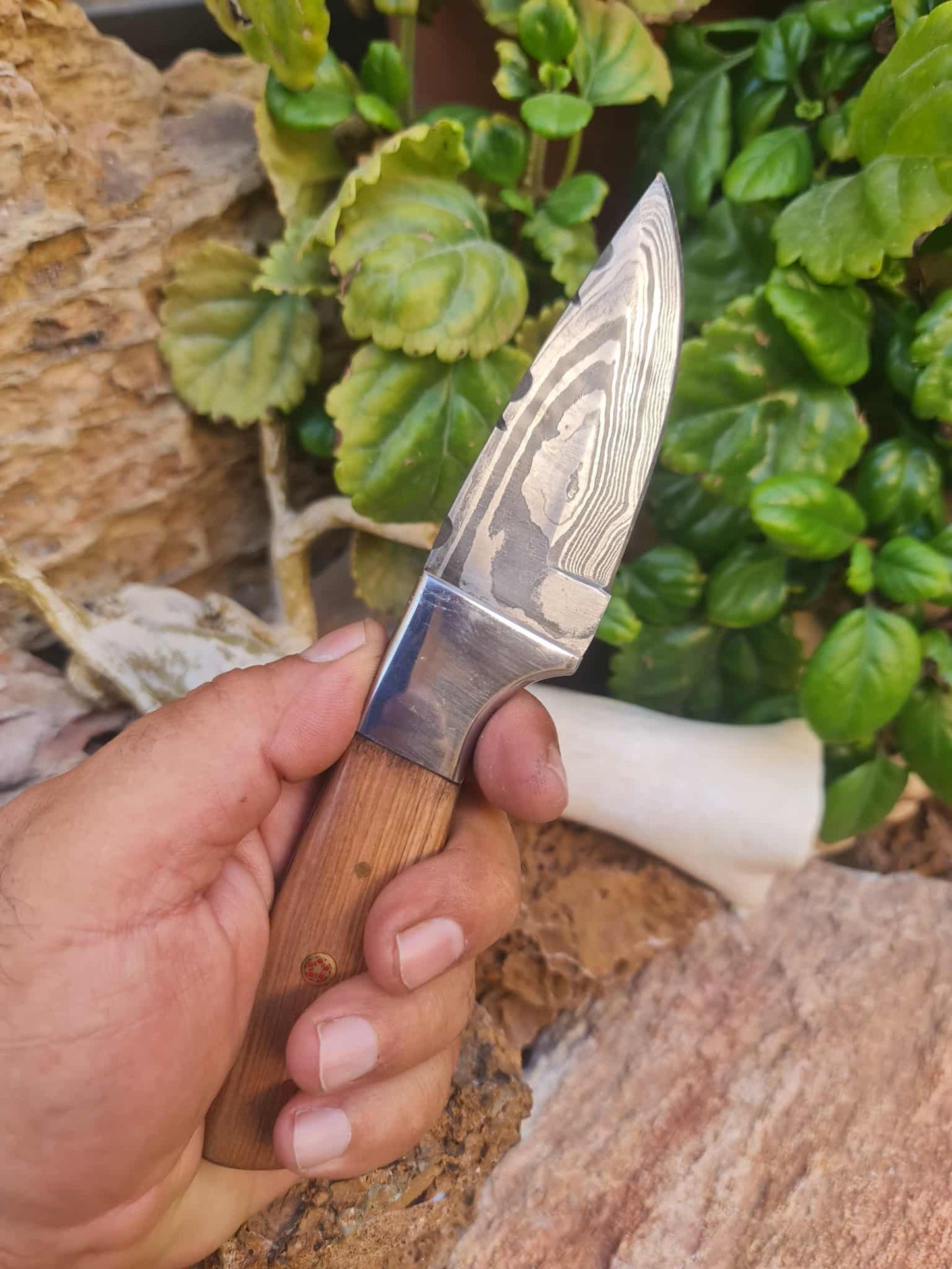 Handmade 20cm Skinner Knife with Damascus Steel - Olive wood & D2 Stainless Steel