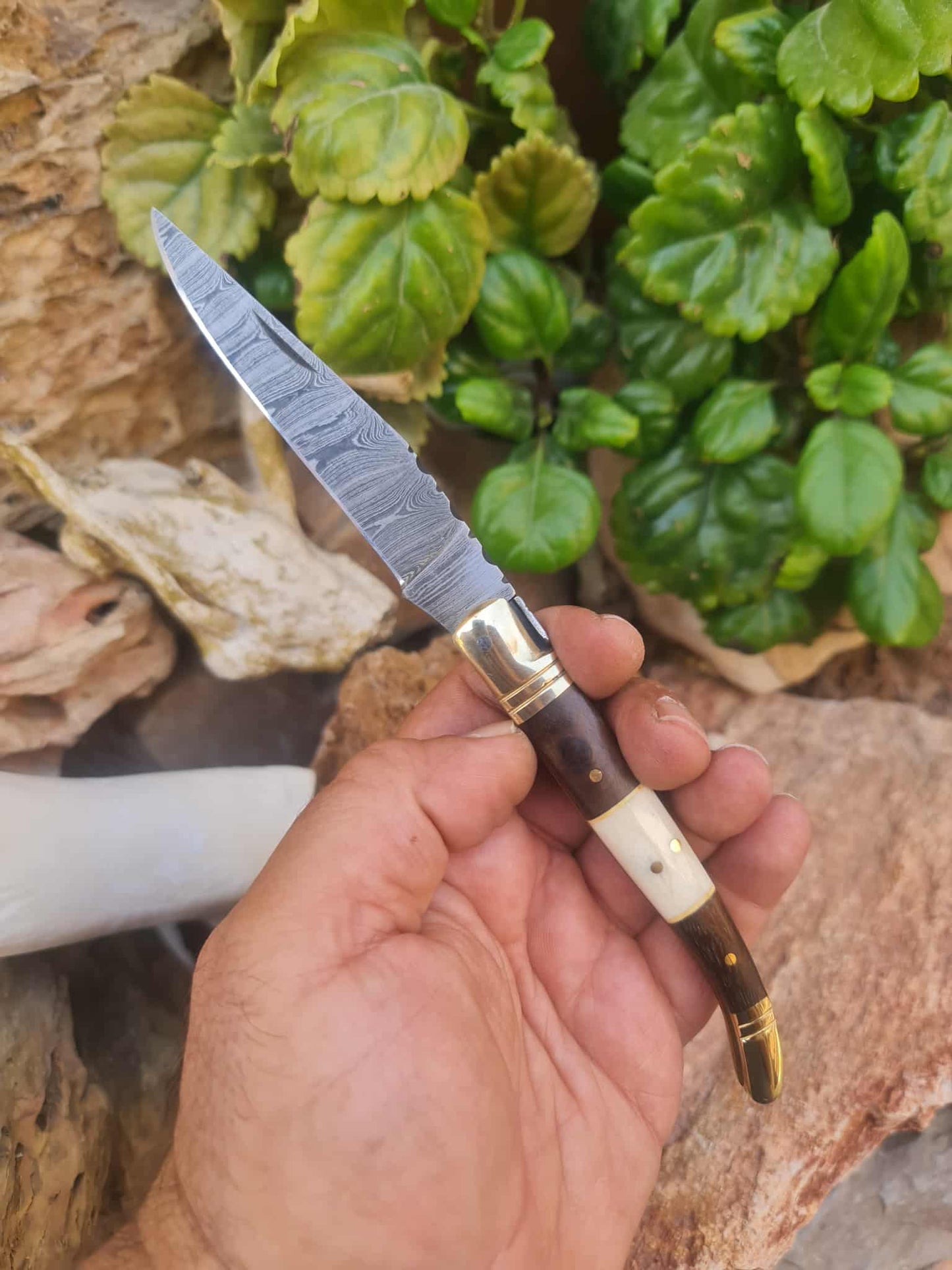 Handmade 22cm Laguiole Classique with Damascus Steel - Rosewood - Camel Bone & Brass