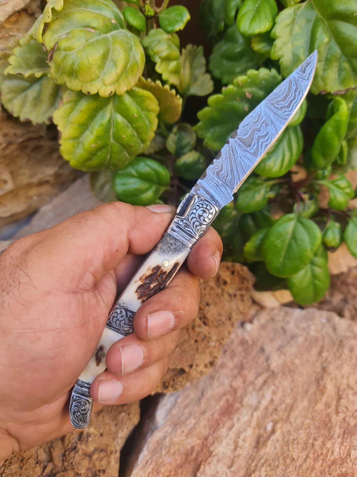 Handmade 22cm Laguiole Rustique with Damascus Steel - Red Deer antler & 420 Stainless Steel with Master Hand-Engraved