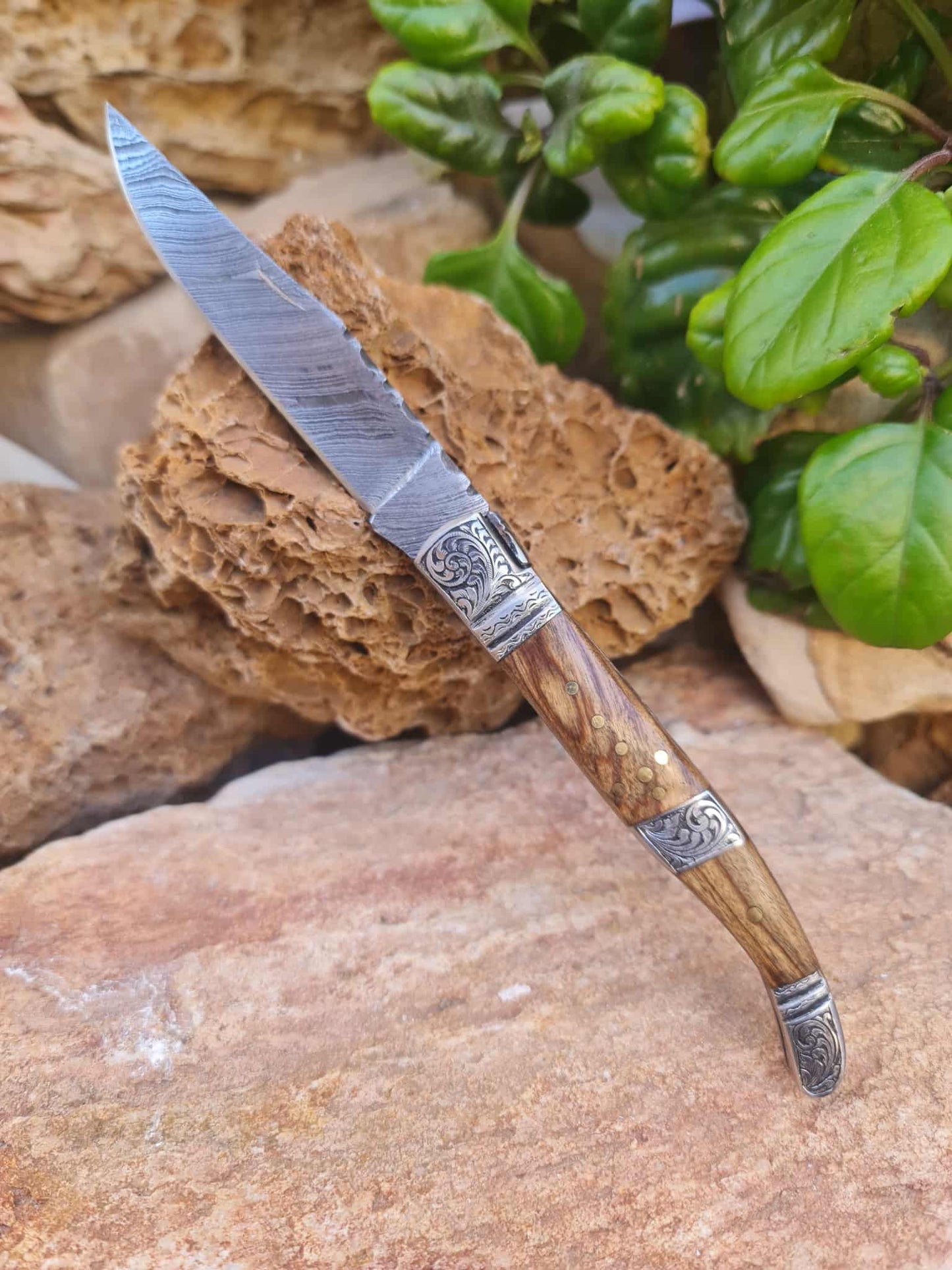 Handmade 22cm Laguiole Rustique with Damascus Steel - Olivewood & 420 Stainless Steel with Master Hand-Engraved