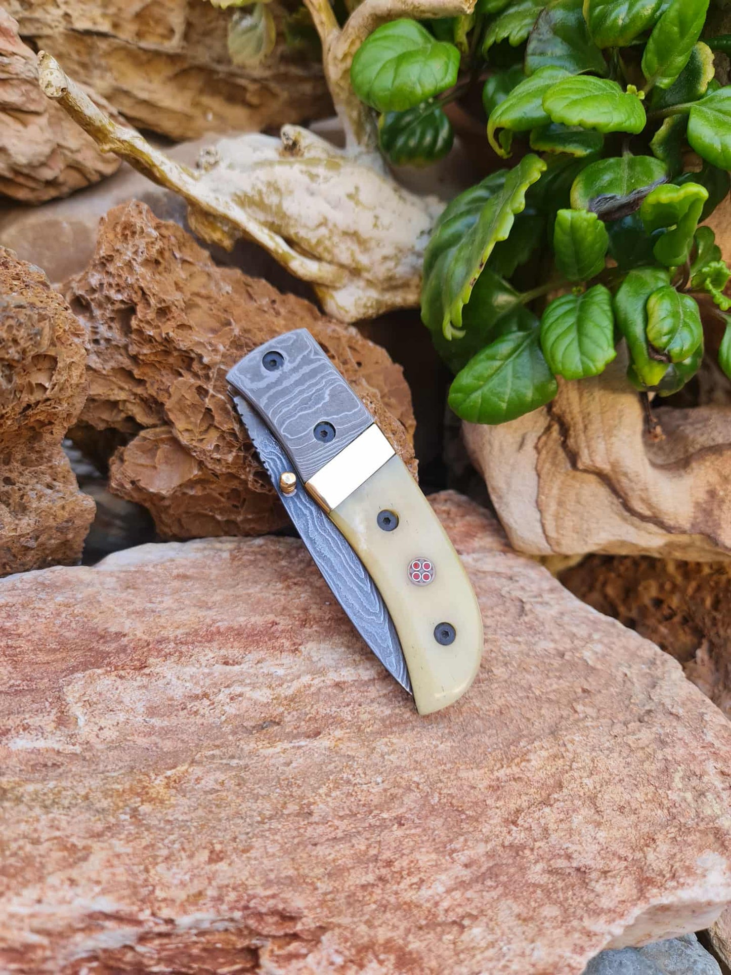 Handmade Classic Elegance – 20cm Folding Knife with Damascus Steel - Camel Bone & Brass