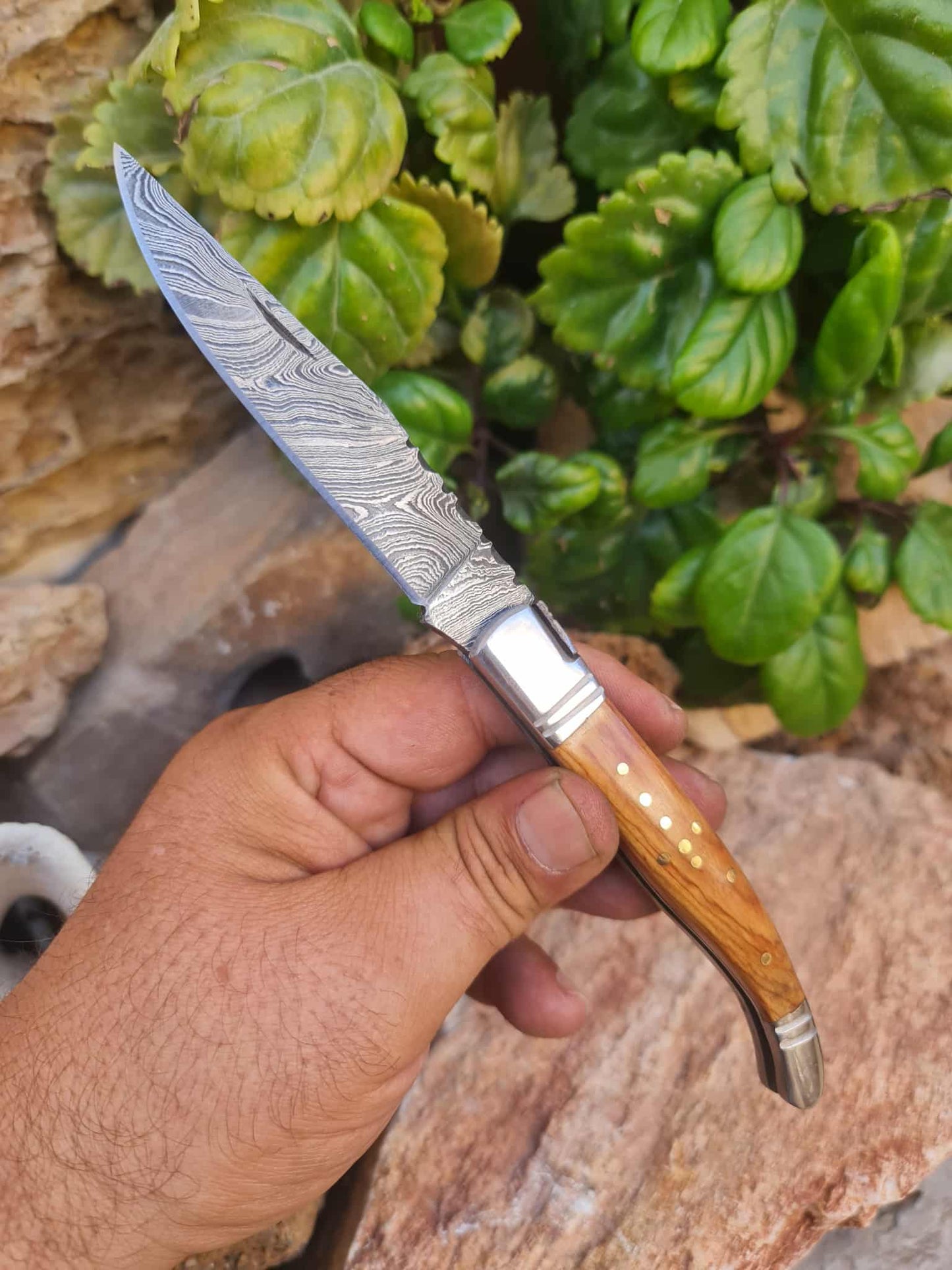 Handmade 22cm Laguiole Rustique with Damascus Steel - Olivewood with D2 Stainless Steel