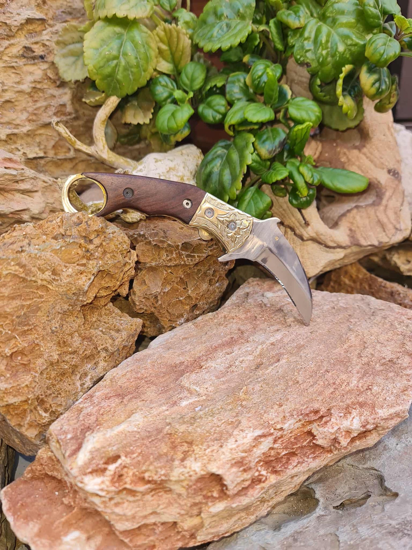 Handmade Karambit – 19cm Folding Knife with Stainless Steel 12C27 - Walnut Wood & Hand Engraved Brass