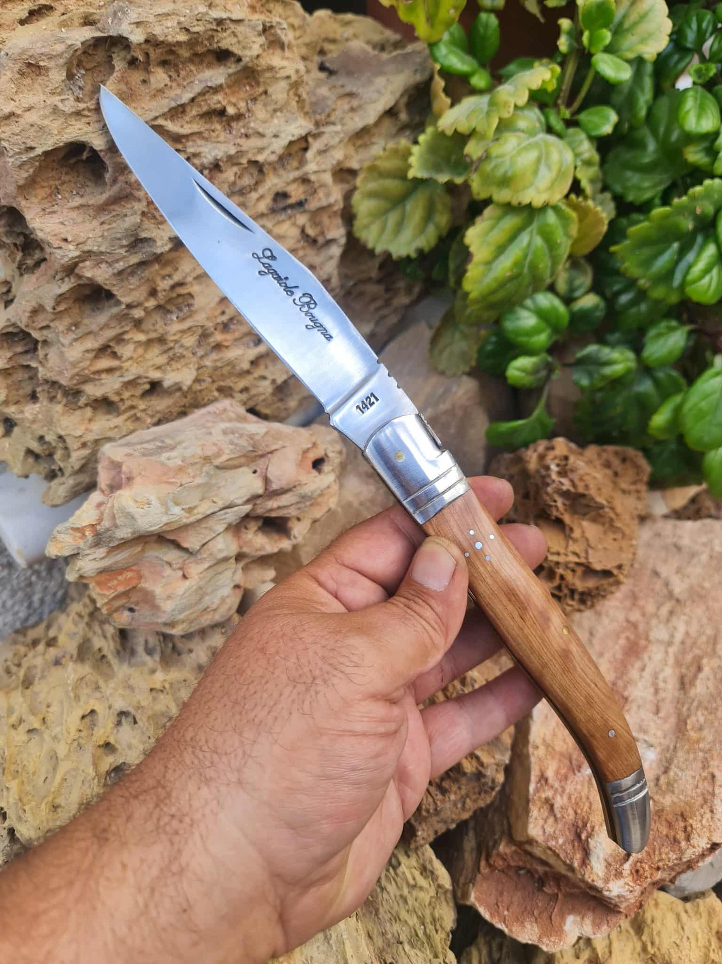 Handmade 32cm Laguiole Bougna with 1421 carbon steel - Olivewood & D2 stainless steel