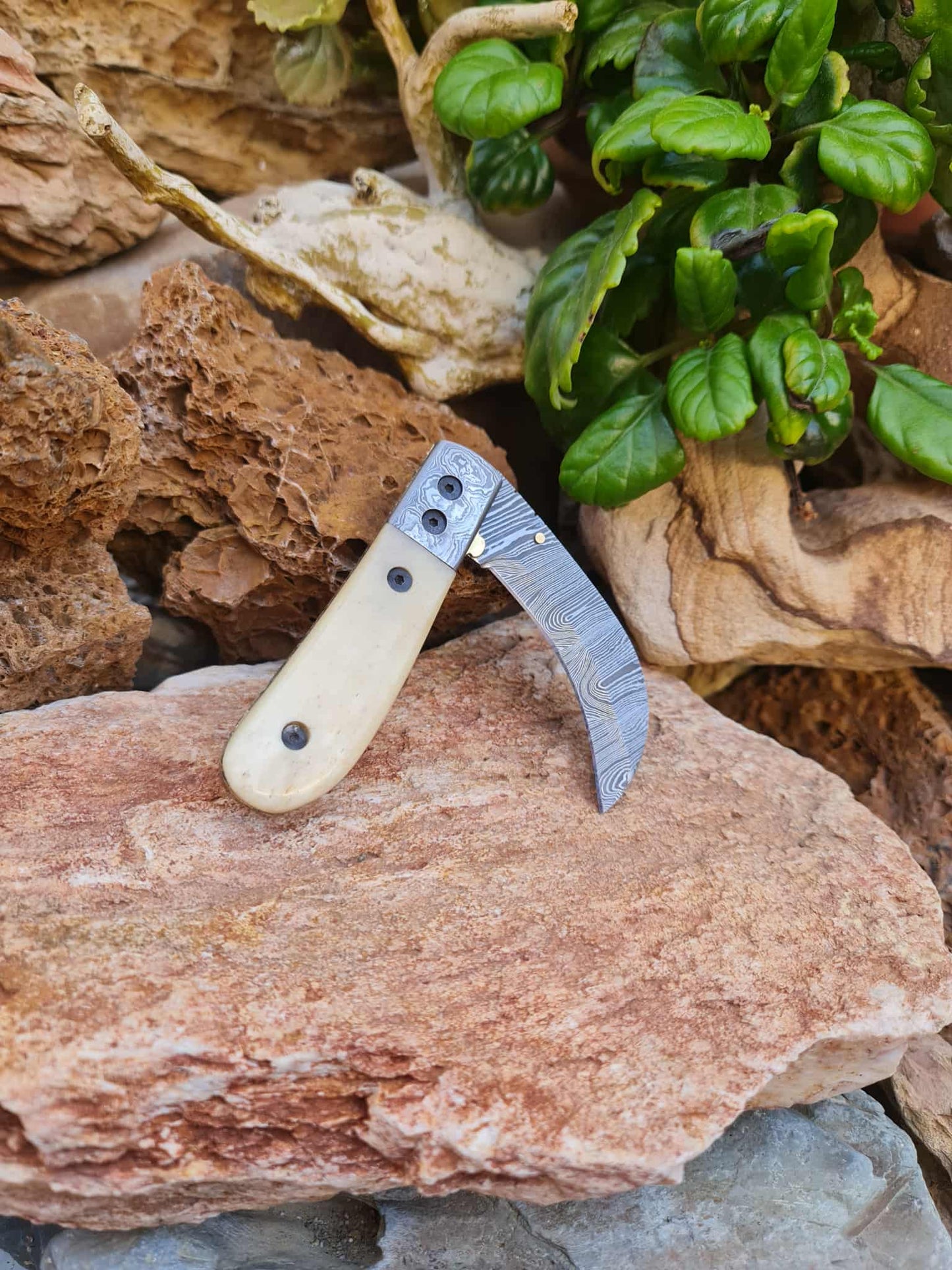 Handmade Hawkbill – 18cm Folding Knife with Damascus Steel & Camel Bone
