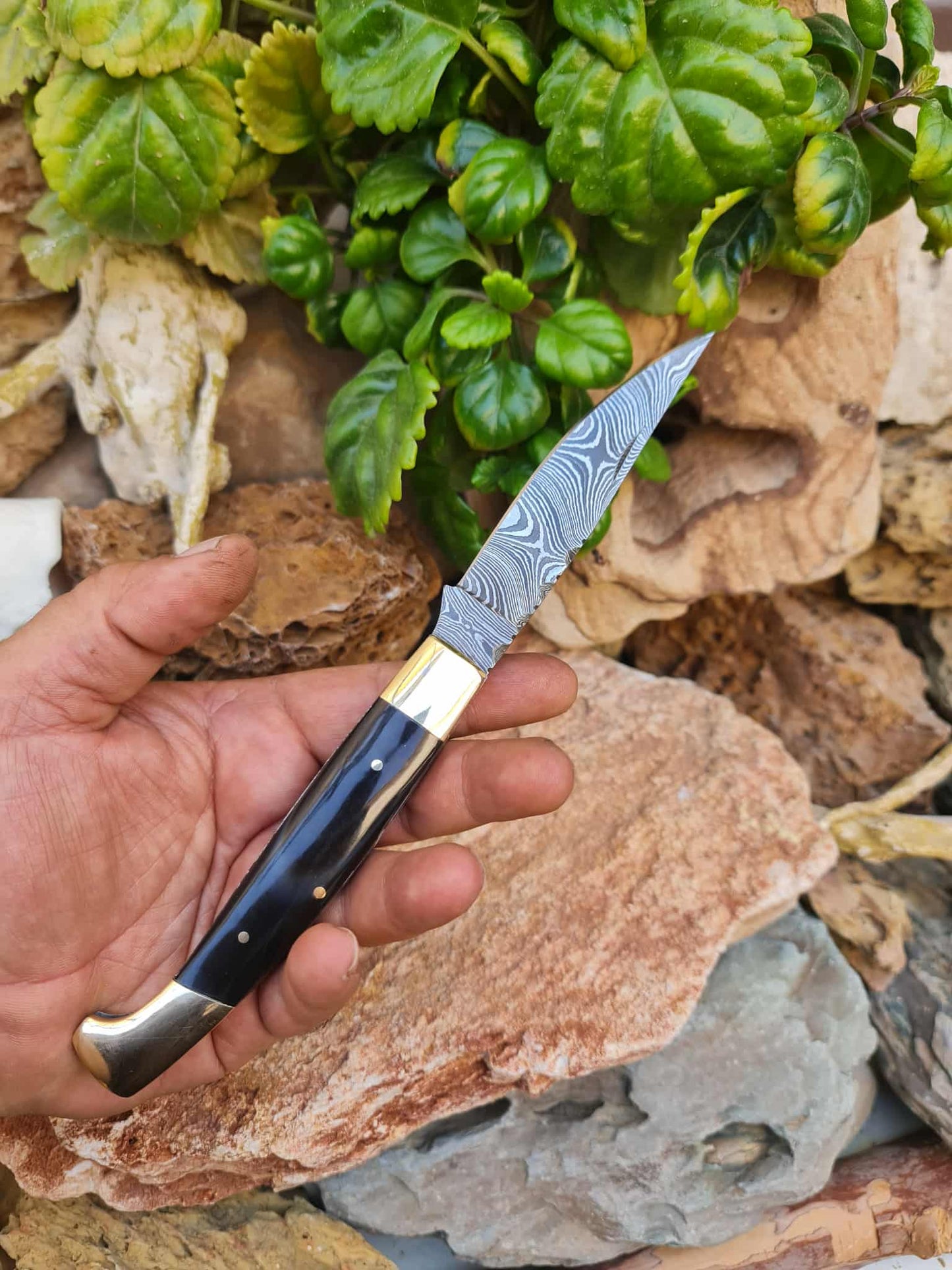 Handmade Resolza Pattadese – 23cm Italian Style Folding Knife with Damascus Steel - Buffalo Horn & Brass