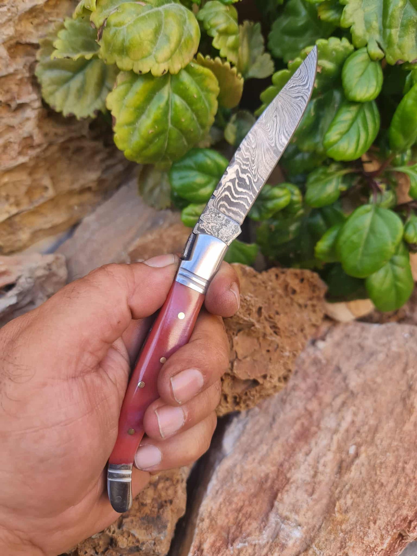 Handmade 22cm Laguiole Rustique with Damascus Steel - Stabilized Camel Bone with D2 Stainless Steel