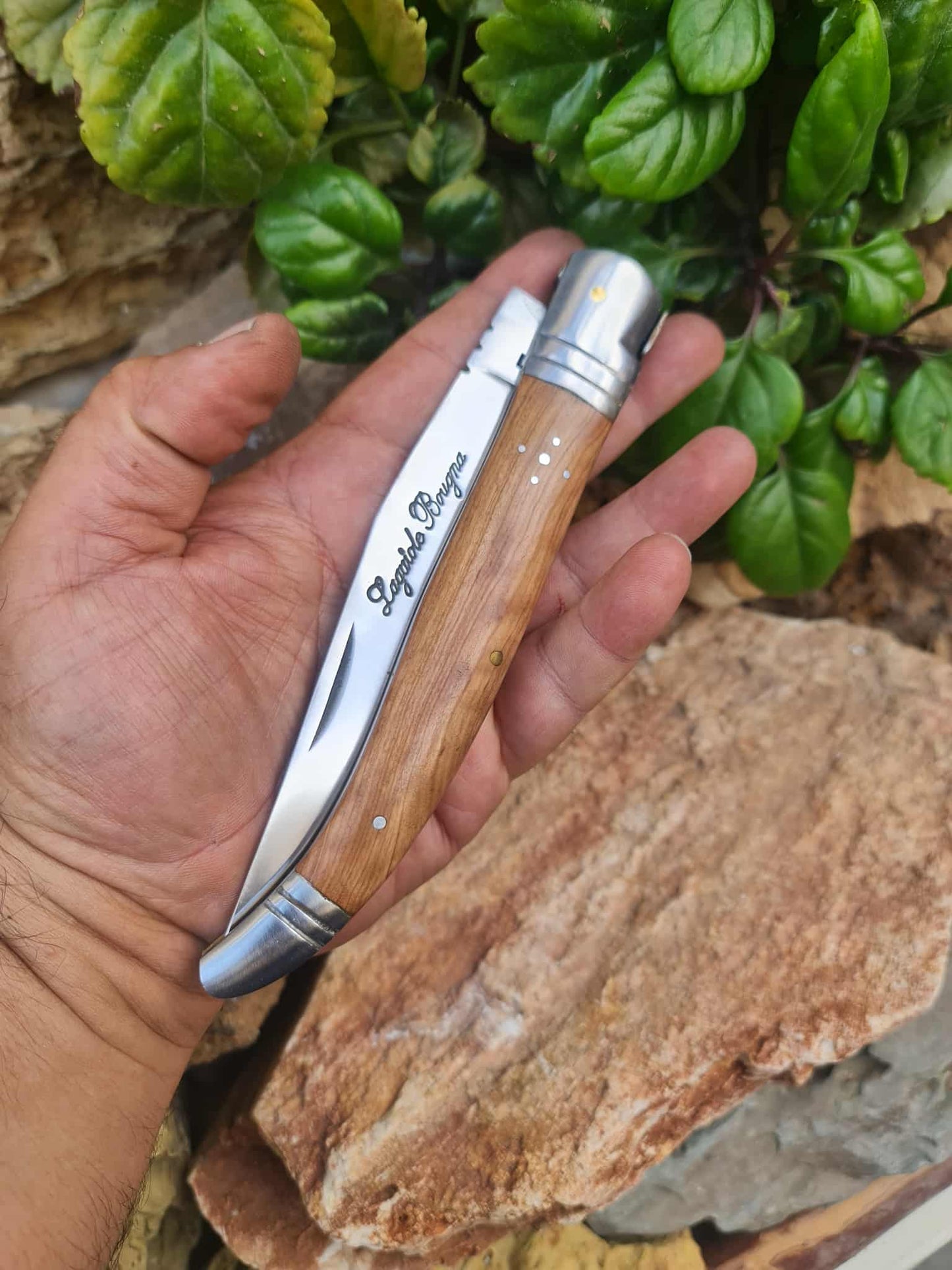 Handmade 32cm Laguiole Bougna with 1421 carbon steel - Olivewood & D2 stainless steel