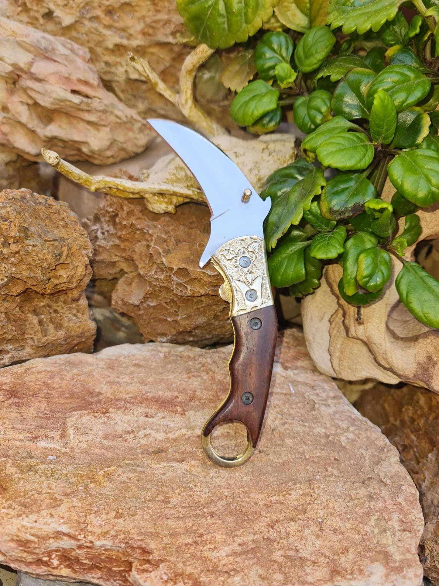 Handmade Karambit – 19cm Folding Knife with Stainless Steel 12C27 - Walnut Wood & Hand Engraved Brass