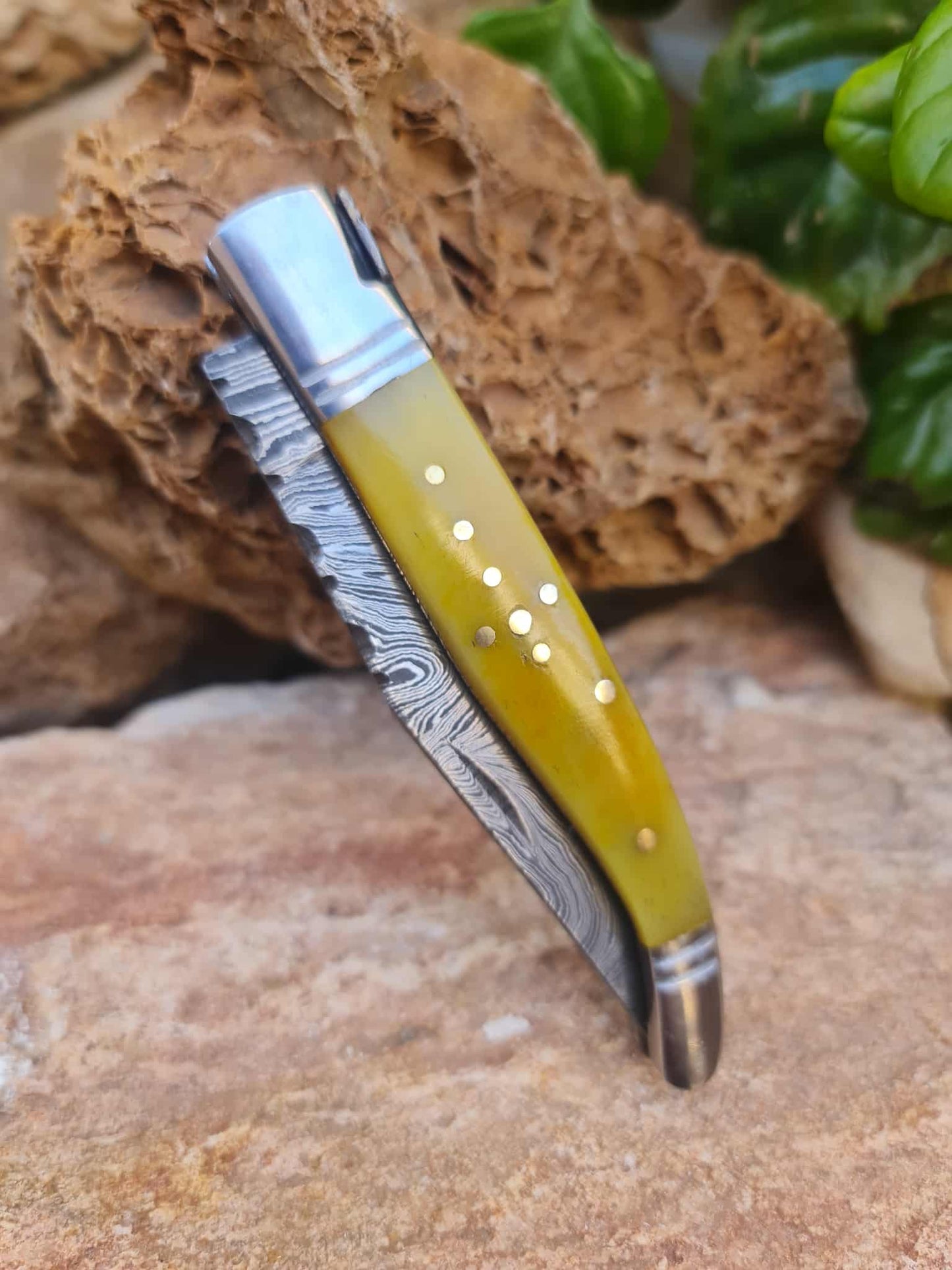 Handmade 22cm Laguiole Rustique with Damascus Steel - Stabilized Camel Bone with D2 Stainless Steel