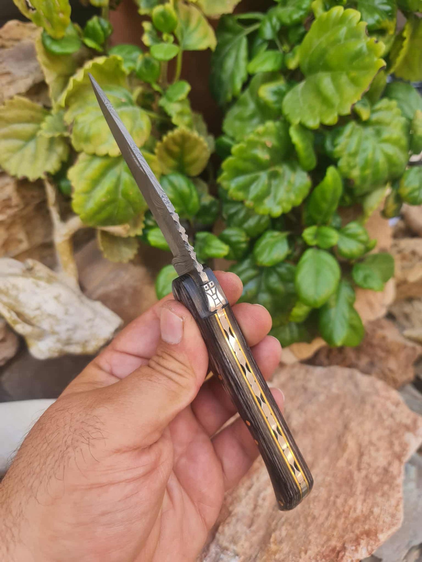 Handmade 22cm Laguiole with Damascus Steel & Stabilized wood
