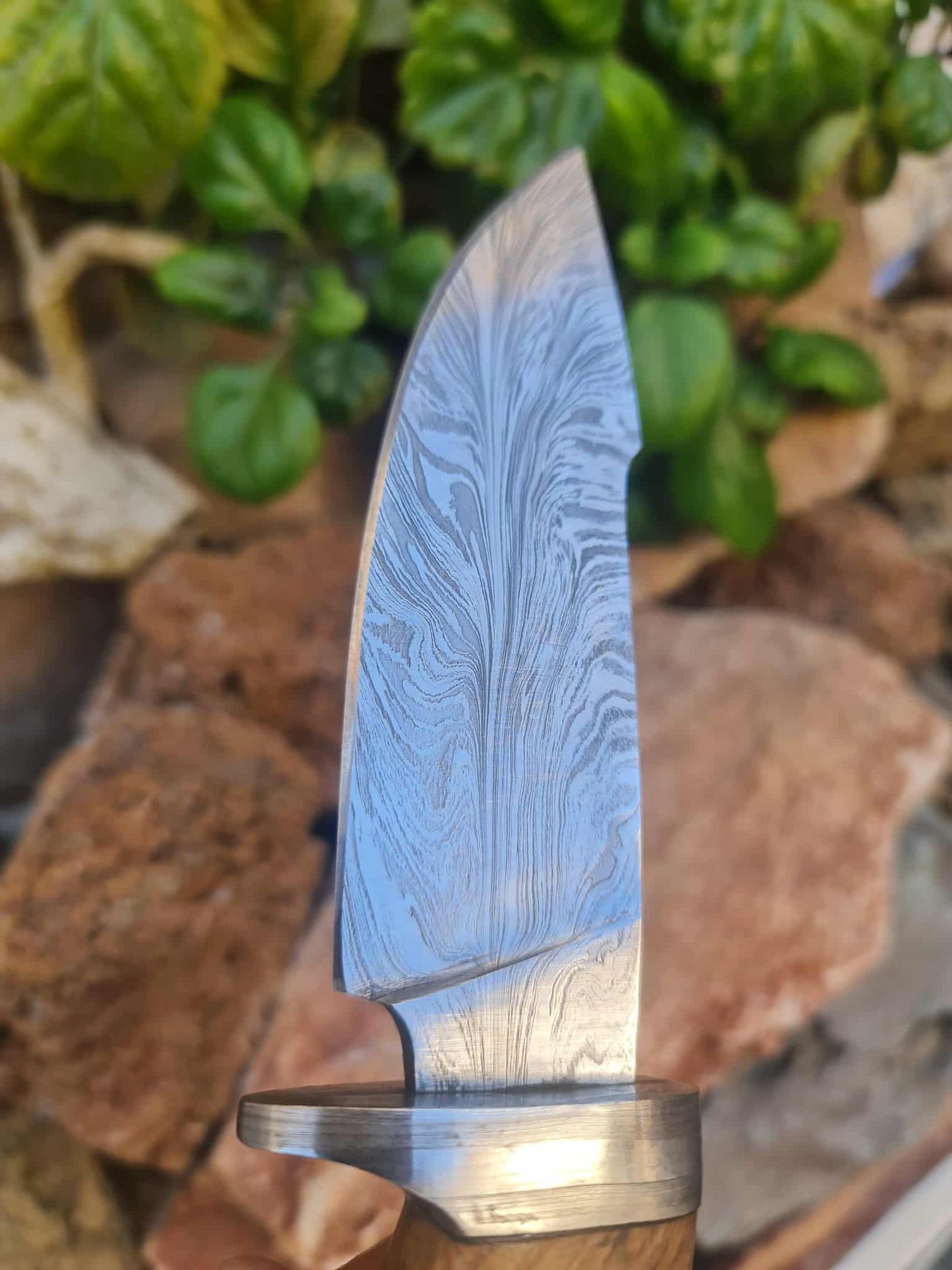 Handmade 27cm Hunting Knife with Feather Damascus Steel & Olive wood