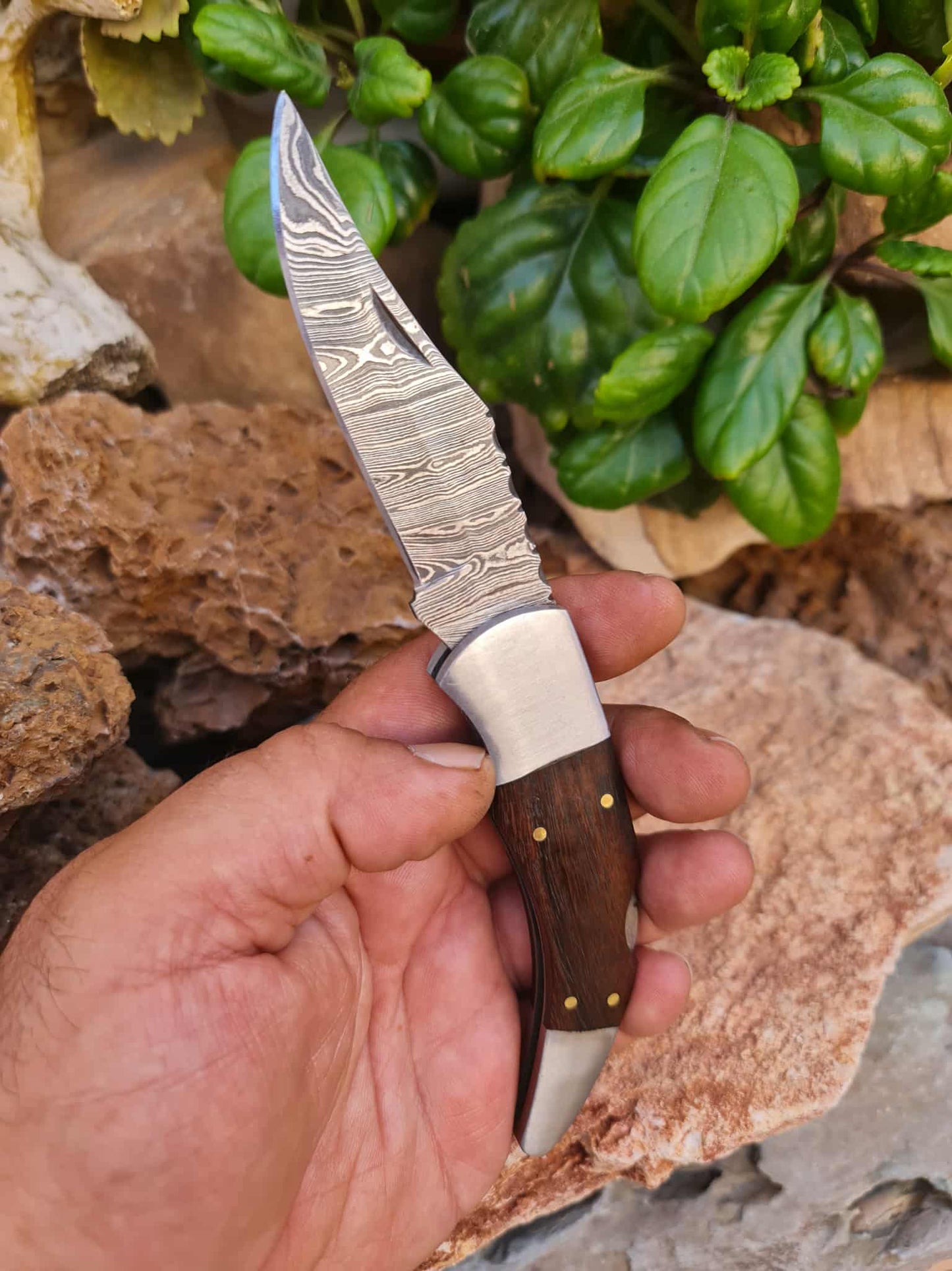 Handmade 20cm Pocket Knife with Damascus Steel - Walnut Wood & D2 Stainless Steel