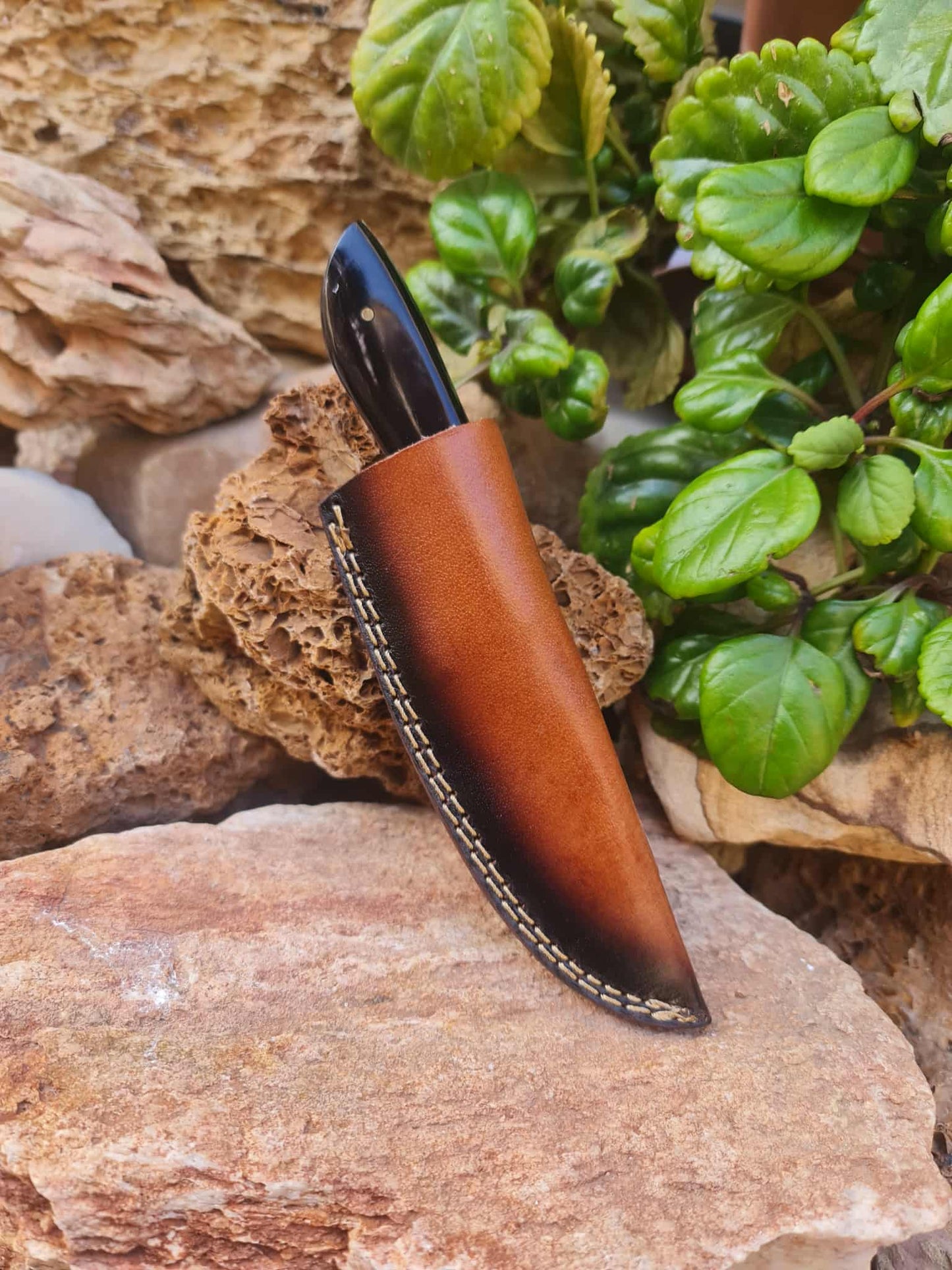 Handmade 21cm Hunting Knife with Damascus Steel & Buffalo Horn