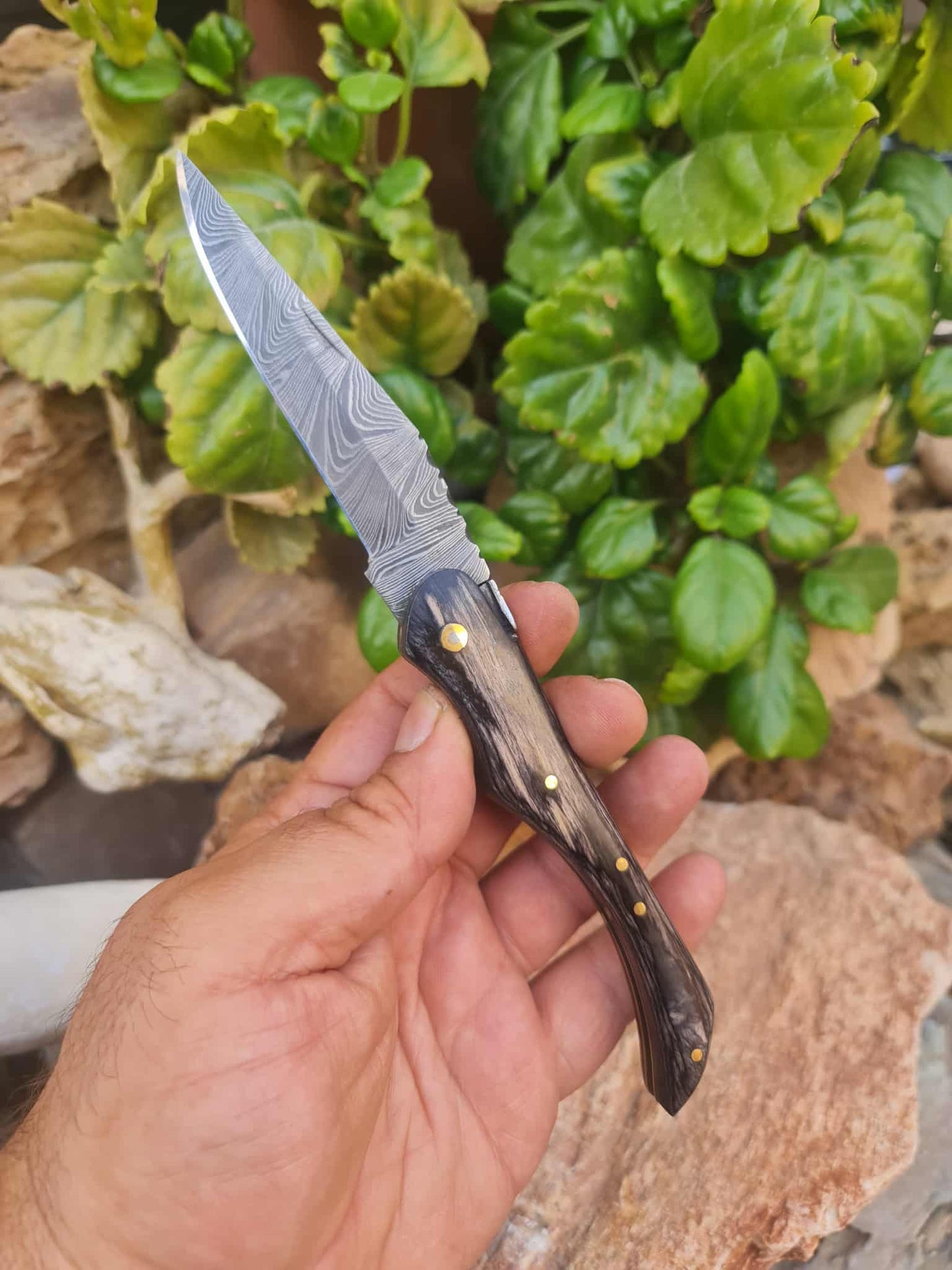 Handmade 22cm Laguiole with Damascus Steel & Stabilized wood