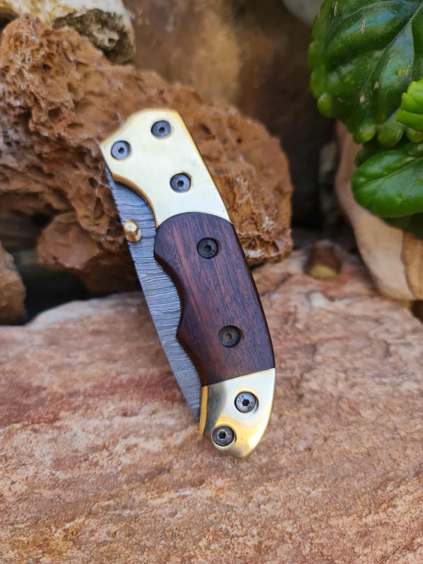 Handmade Tanto – 19cm Folding Knife with Damascus Steel - Walnut Wood & Brass