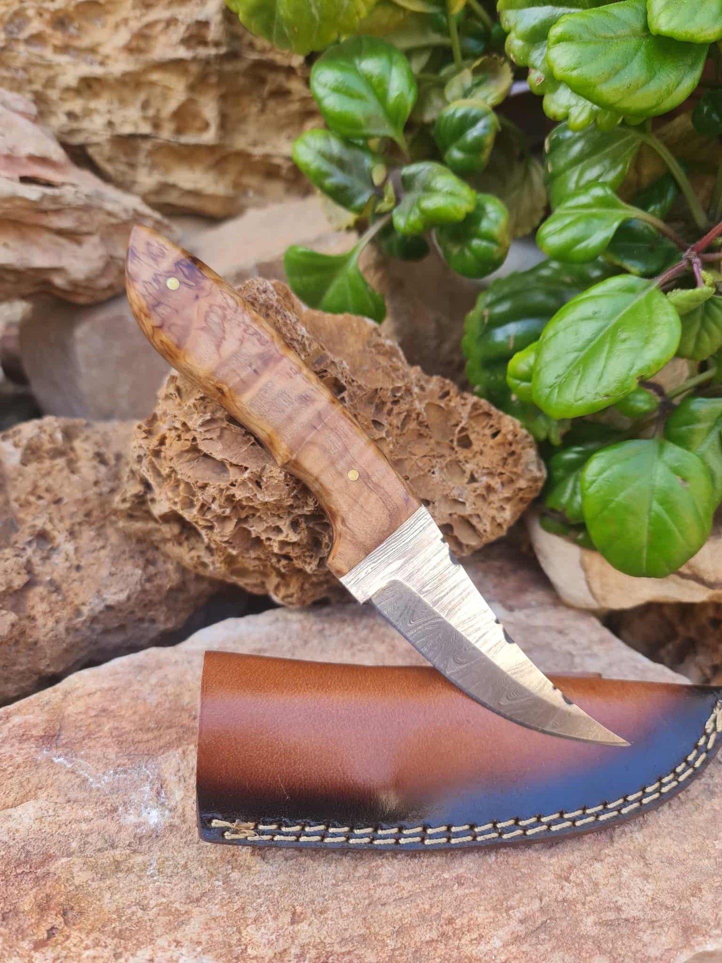 Handmade 21cm Hunting Knife with Damascus Steel & Olive wood
