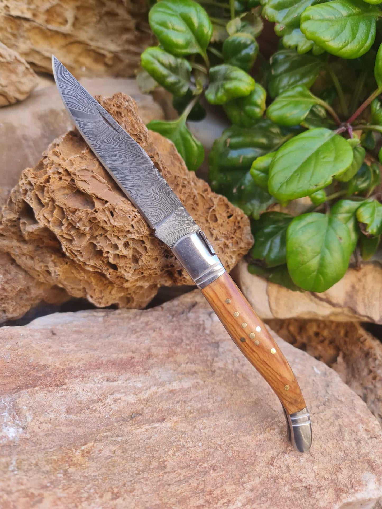 Handmade 22cm Laguiole Rustique with Damascus Steel - Olivewood with D2 Stainless Steel