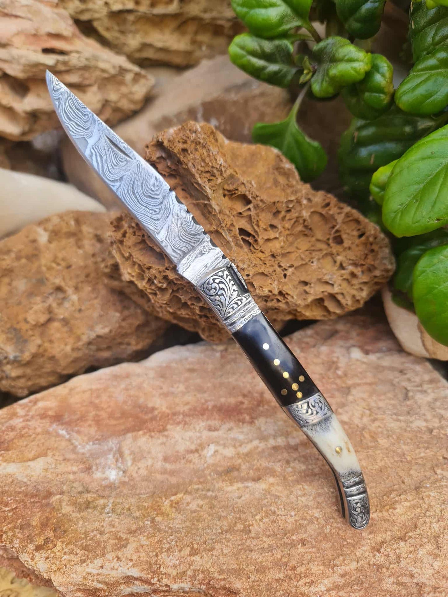 Handmade 22cm Laguiole Rustique with Damascus Steel - Buffalo Horn - Red Deer antler & 420 Stainless Steel with Master Hand-Engraved
