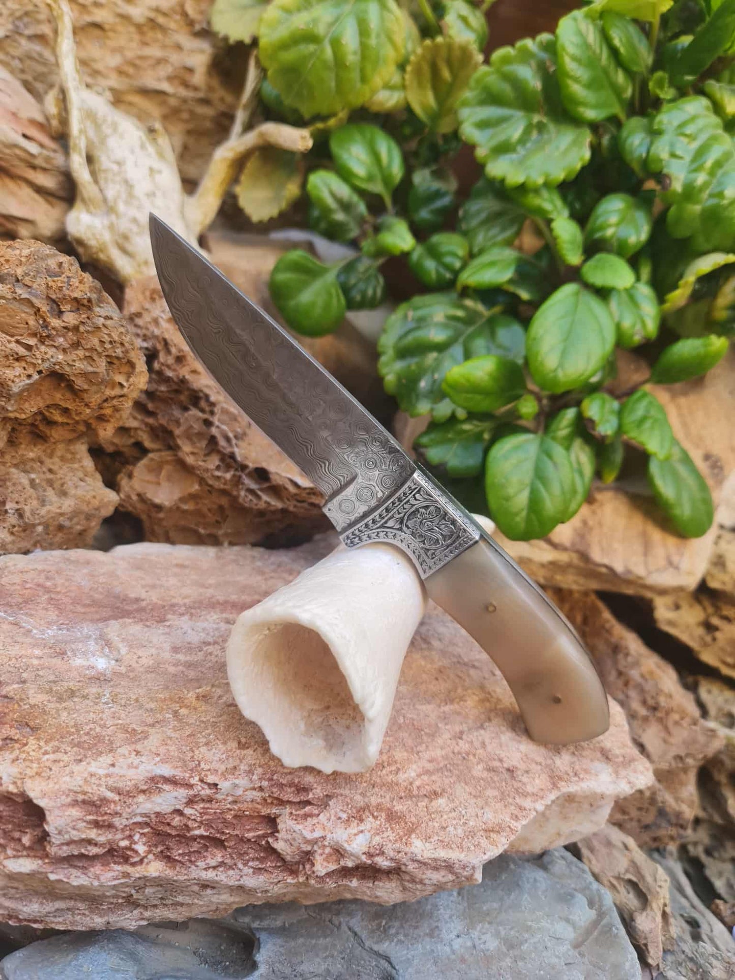 Handmade 22cm Premium Hunting Knife with Raindrop Damascus Steel - Ibex Horn & Stainless Steel with Master Hand-Engraved