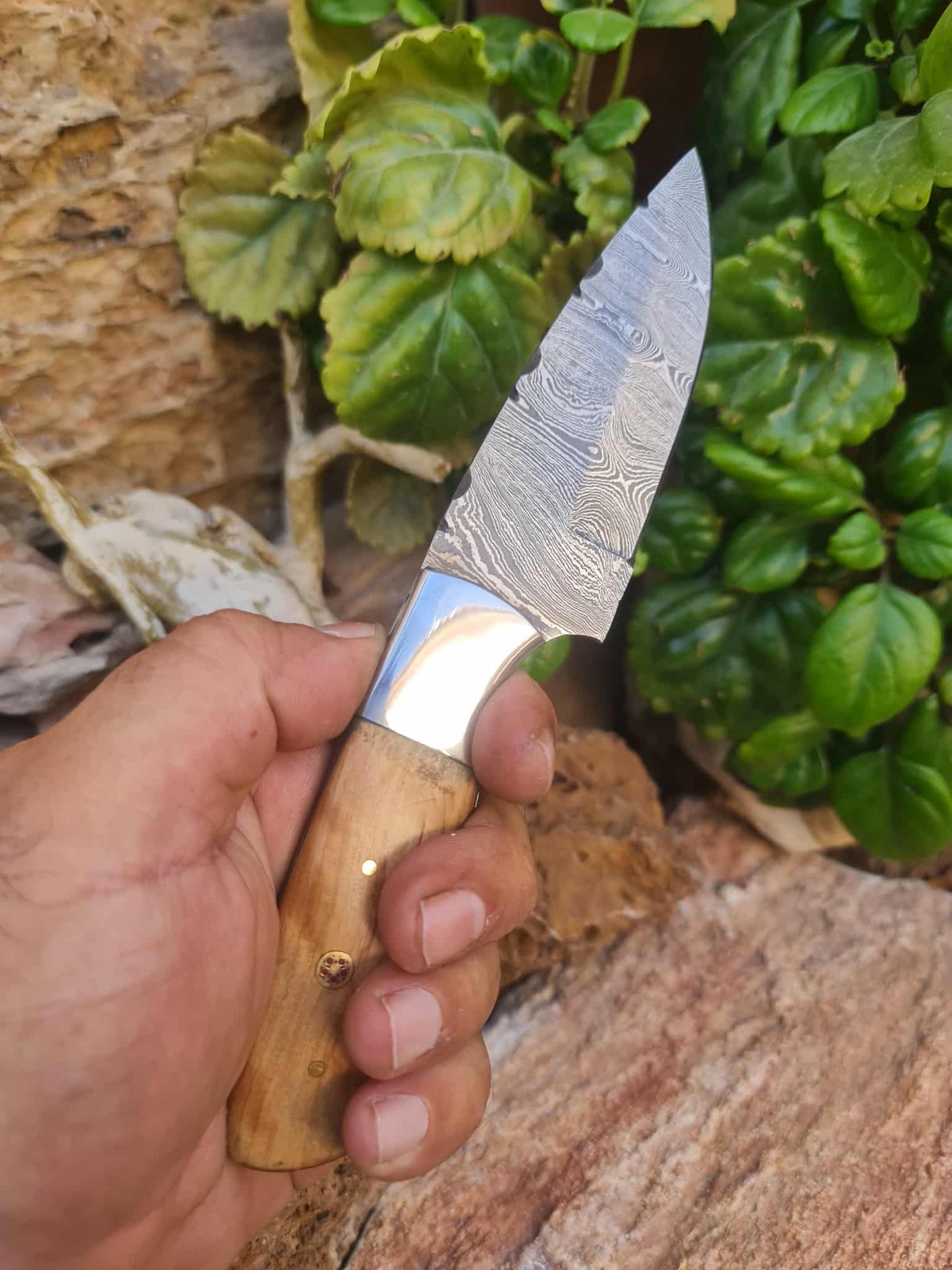 Handmade 20cm Skinner Knife with Damascus Steel - Olive wood & D2 Stainless Steel