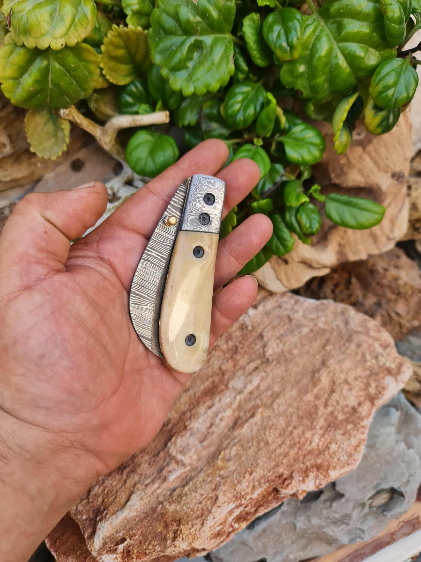 Handmade Hawkbill – 18cm Folding Knife with Damascus Steel & Camel Bone