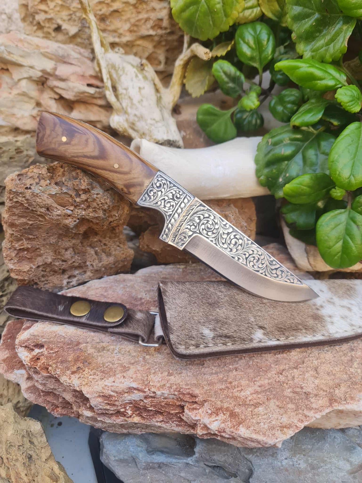 Handmade 23cm Exclusive Hunting Knife with Stainless Steel with Master Hand-Engraved & Olive wood