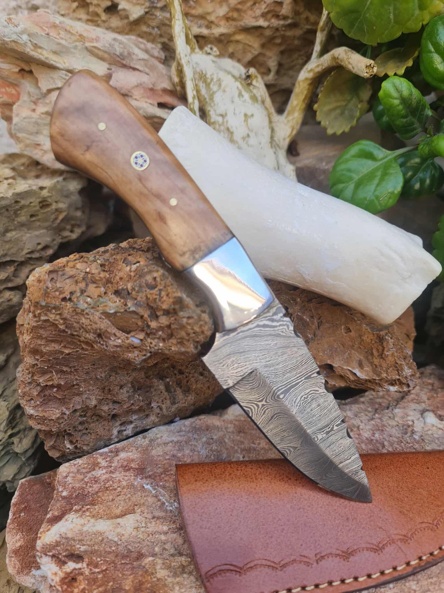 Handmade 20cm Skinner Knife with Damascus Steel - Olive wood & D2 Stainless Steel