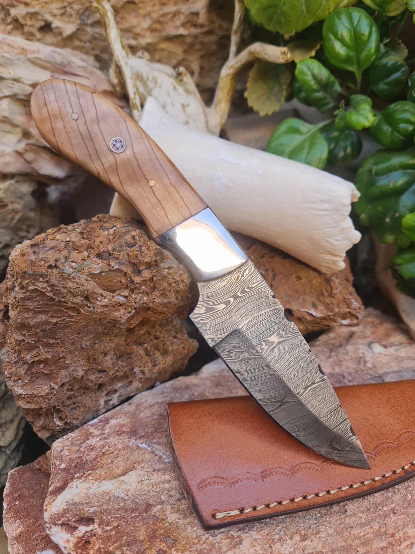 Handmade 22cm Skinner Knife with Damascus Steel - Olive wood & D2 Stainless Steel