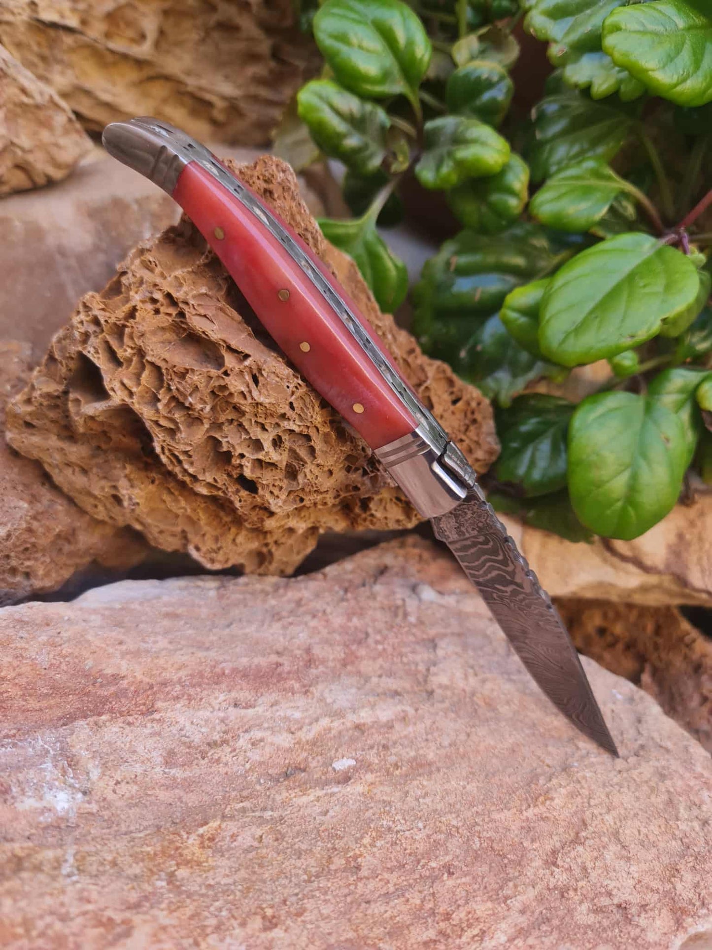 Handmade 22cm Laguiole Rustique with Damascus Steel - Stabilized Camel Bone with D2 Stainless Steel