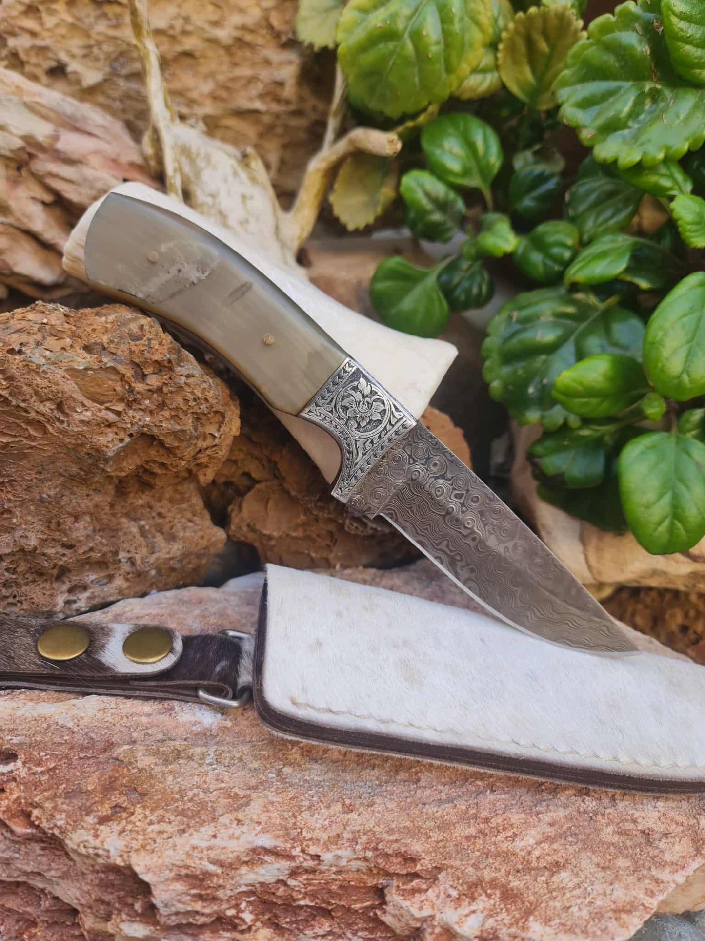 Handmade 22cm Premium Hunting Knife with Raindrop Damascus Steel - Ibex Horn & Stainless Steel with Master Hand-Engraved
