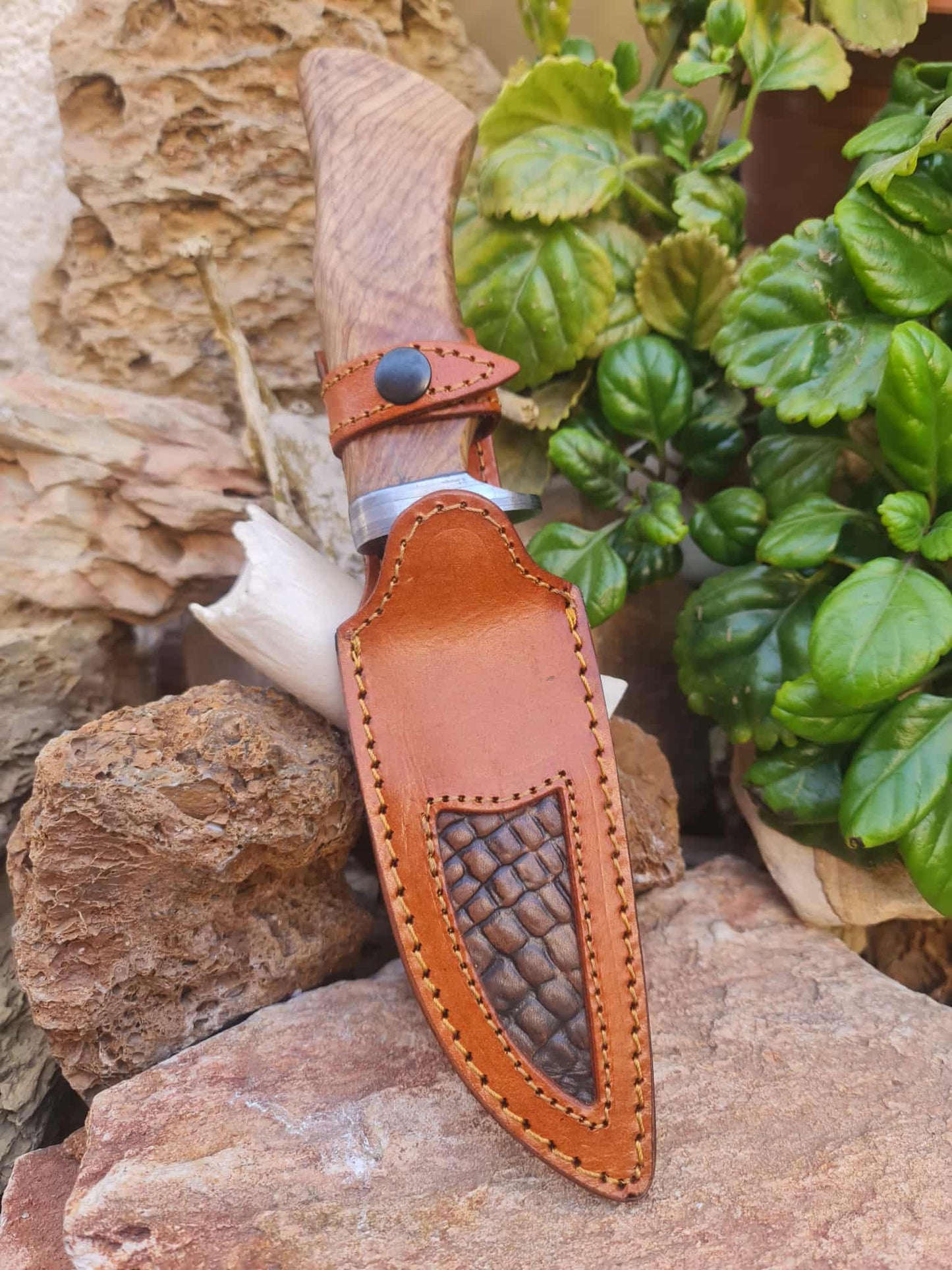 Handmade 27cm Hunting Knife with Feather Damascus Steel & Olive wood