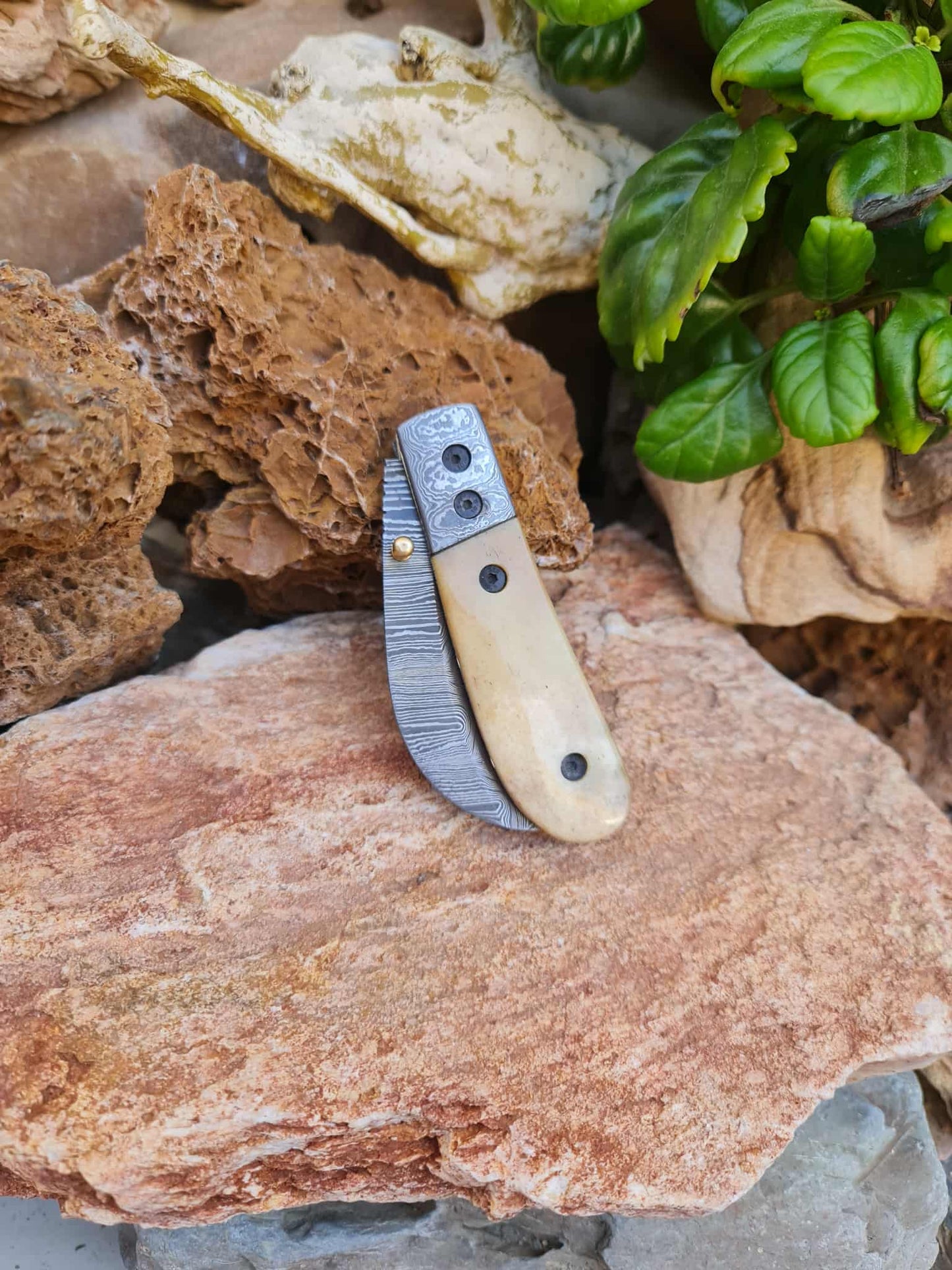 Handmade Hawkbill – 18cm Folding Knife with Damascus Steel & Camel Bone