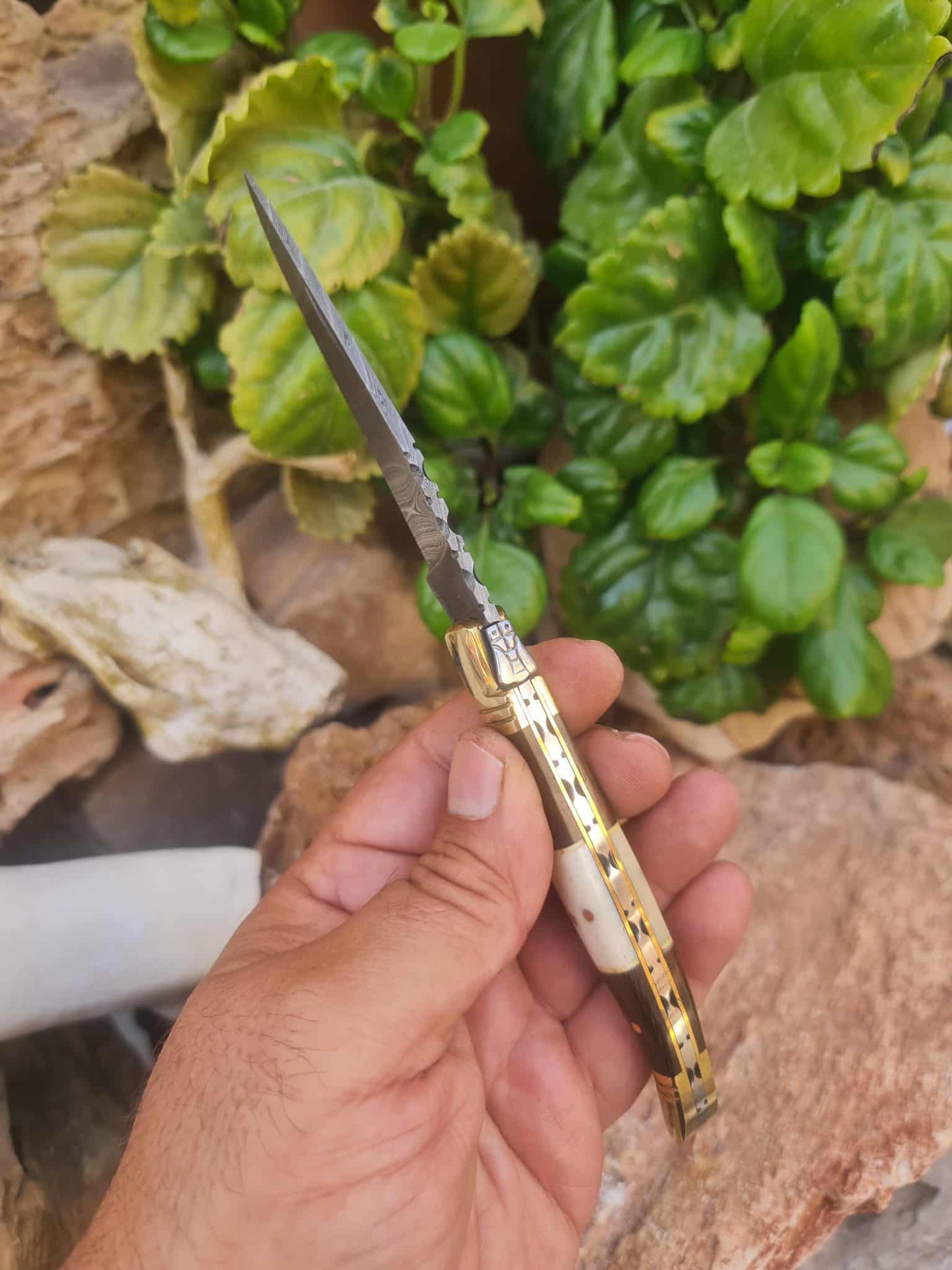 Handmade 22cm Laguiole Classique with Damascus Steel - Rosewood - Camel Bone & Brass