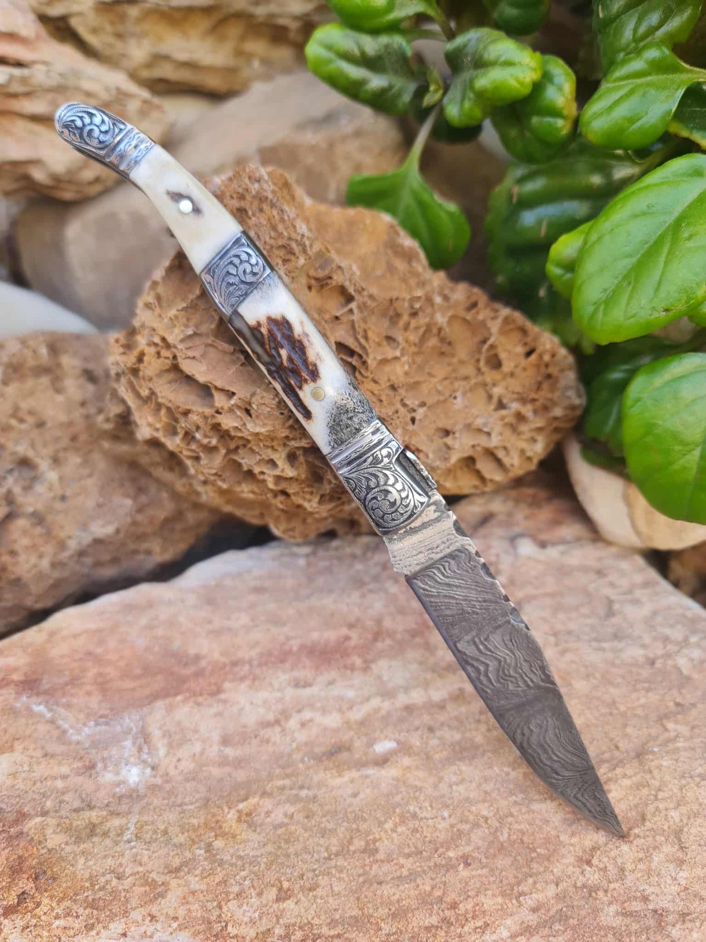 Handmade 22cm Laguiole Rustique with Damascus Steel - Red Deer antler & 420 Stainless Steel with Master Hand-Engraved