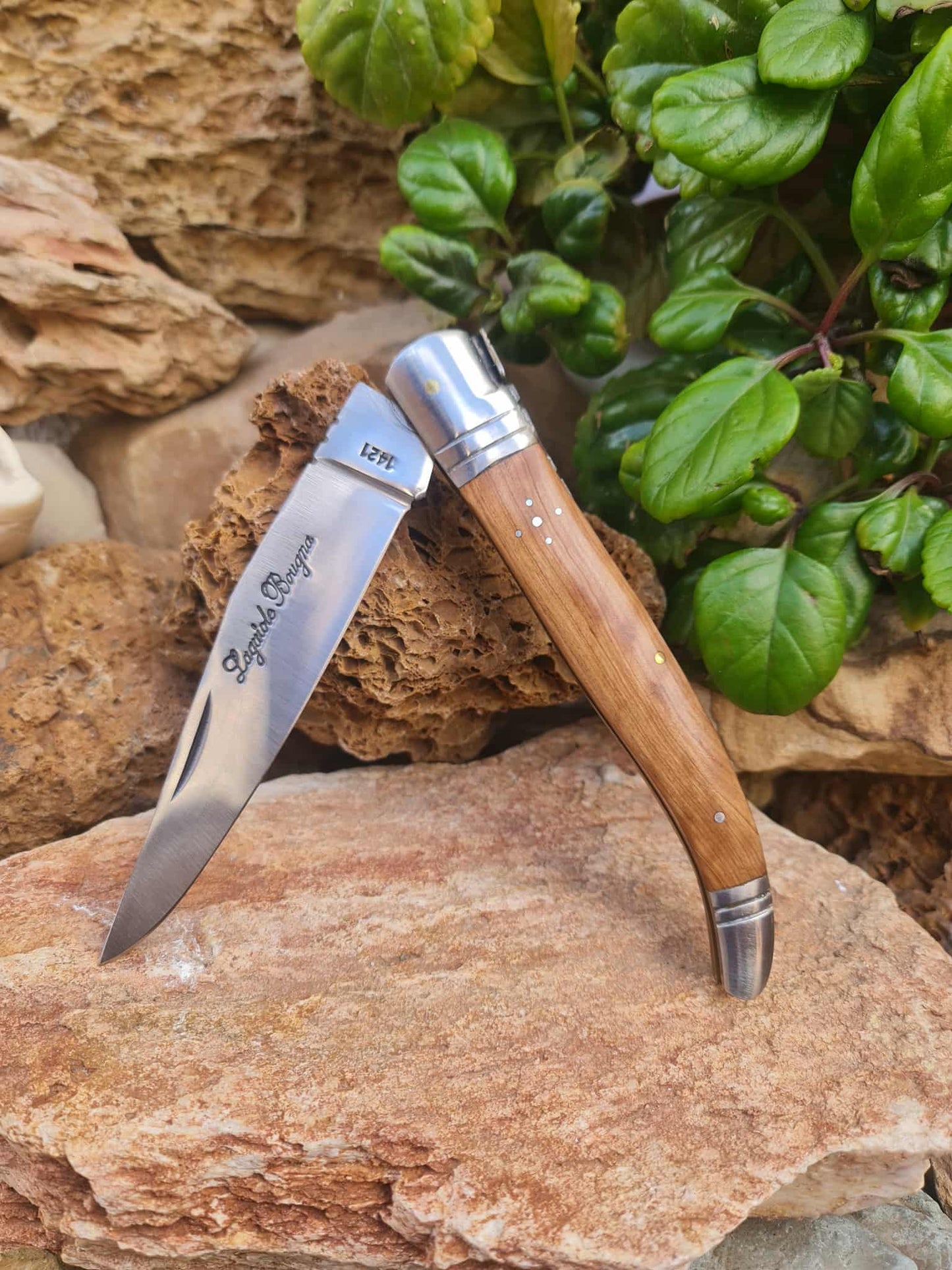 Handmade 32cm Laguiole Bougna with 1421 carbon steel - Olivewood & D2 stainless steel