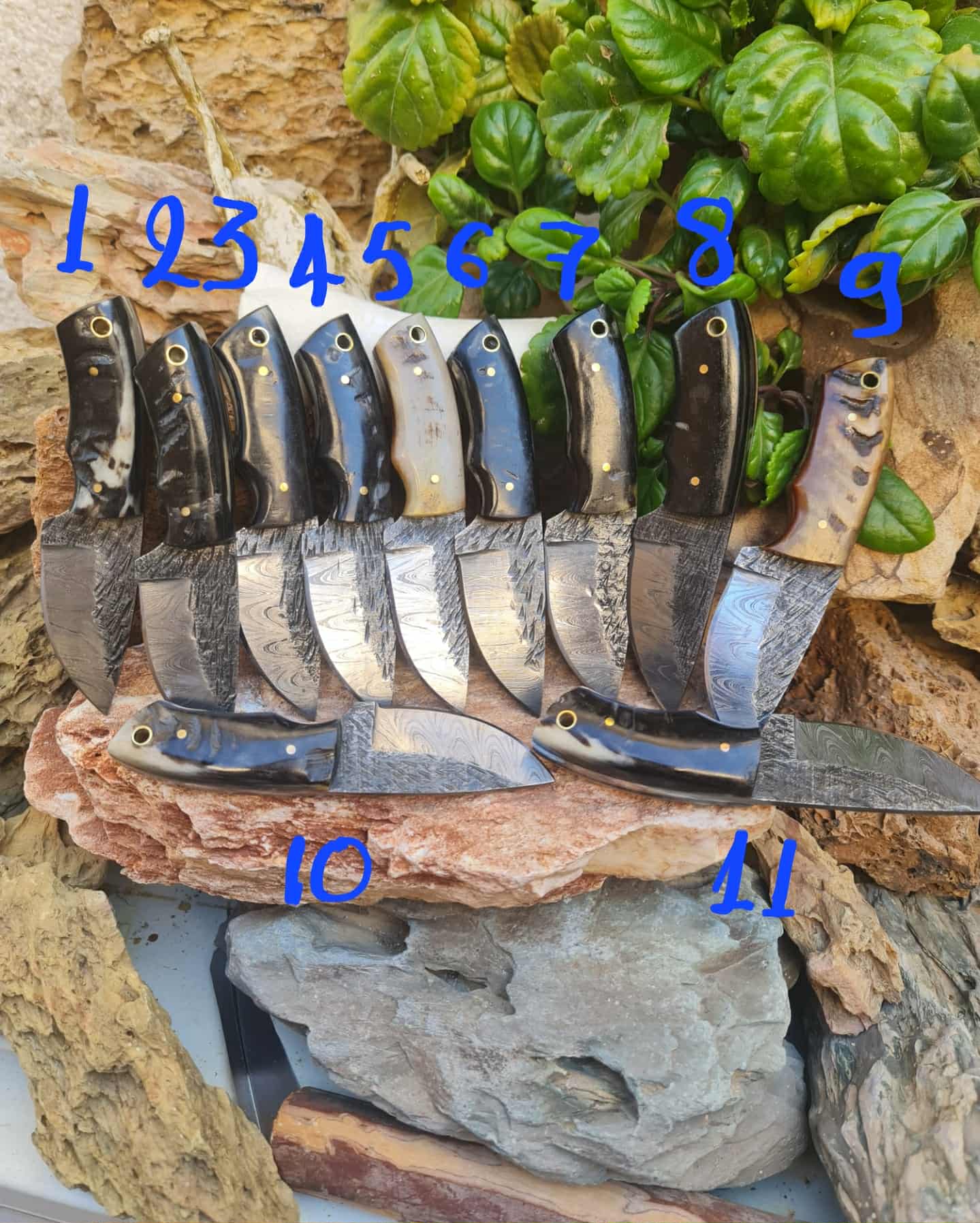 Handmade 15cm Mini Skinner Knife with Damascus Steel & Ram Horn